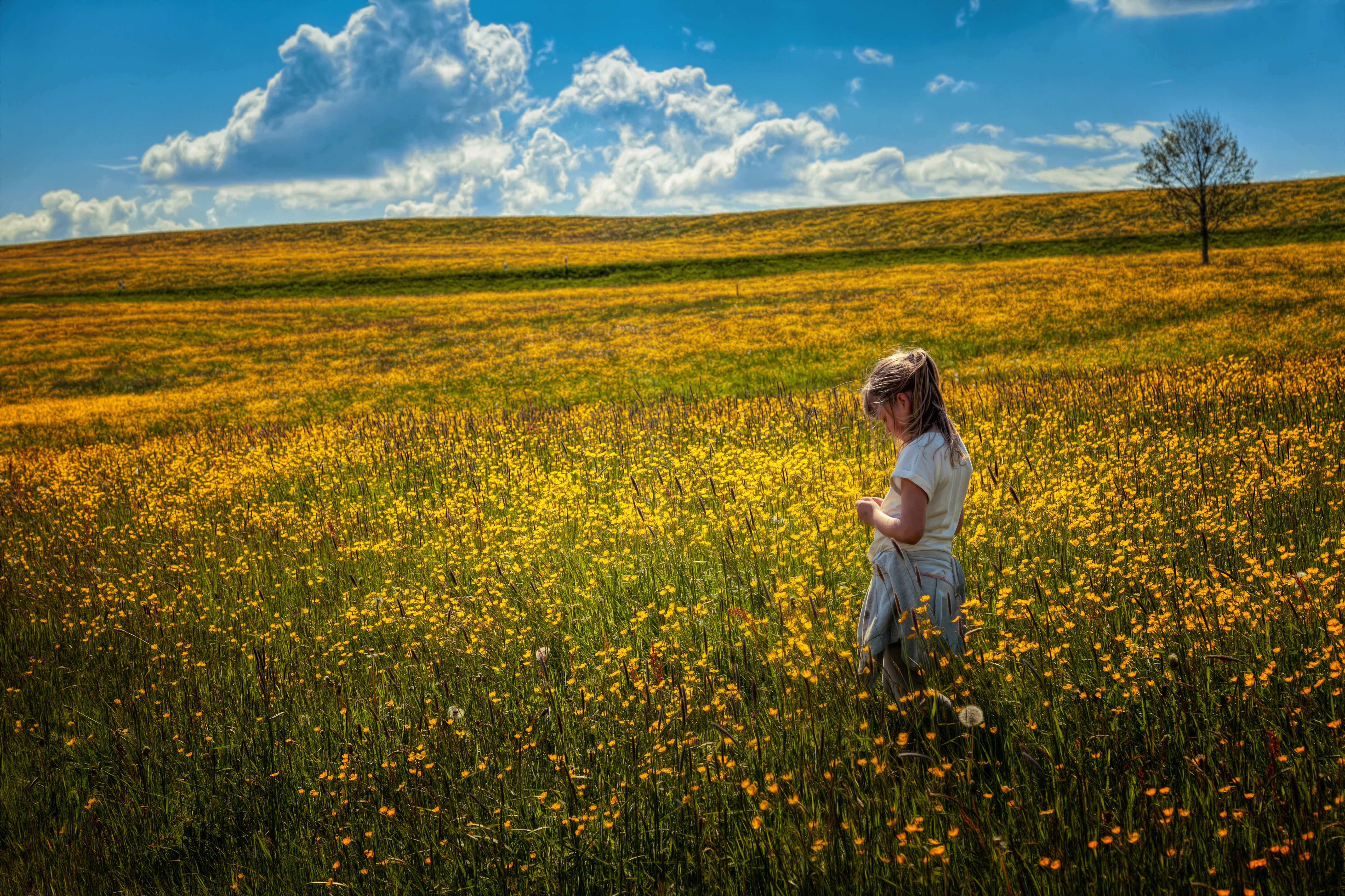 Девчонка гуляет в поле