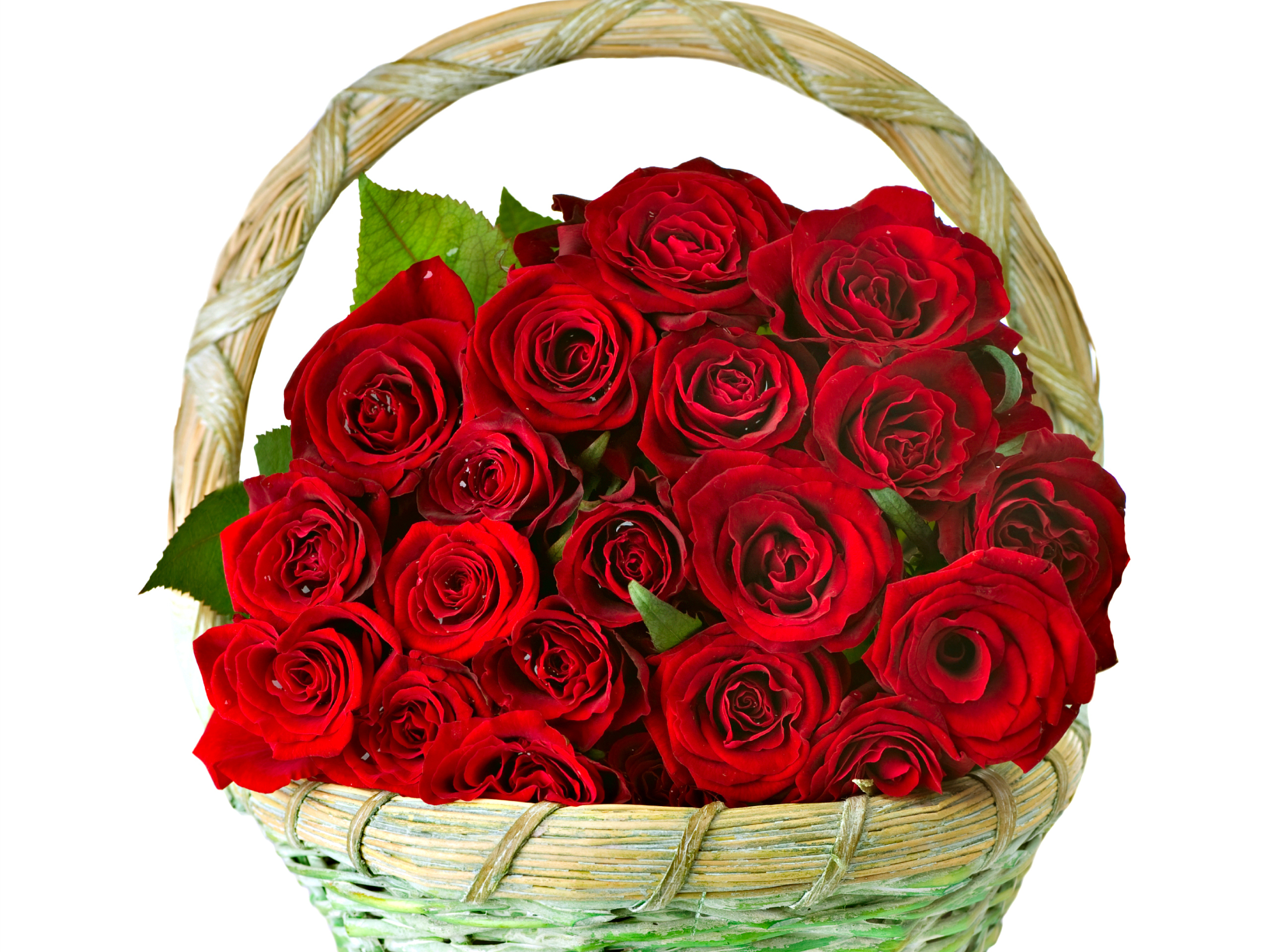 http://on-desktop.com/wps/Holidays___International_Womens_Day_Bouquet_of_red_roses_on_March_8_in_a_basket_058031_.jpg