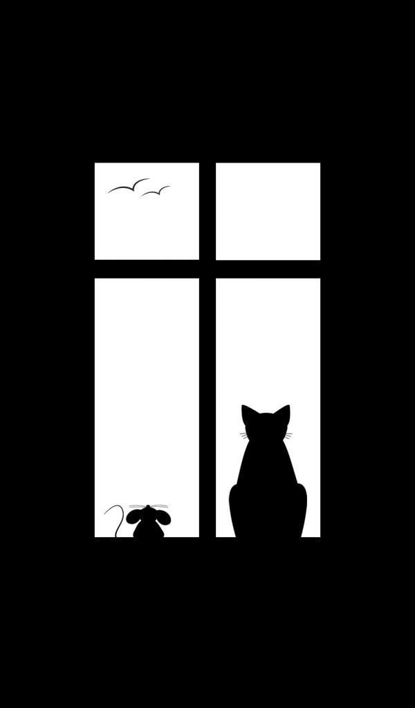 Black Cat Silhouette Wallpaper
