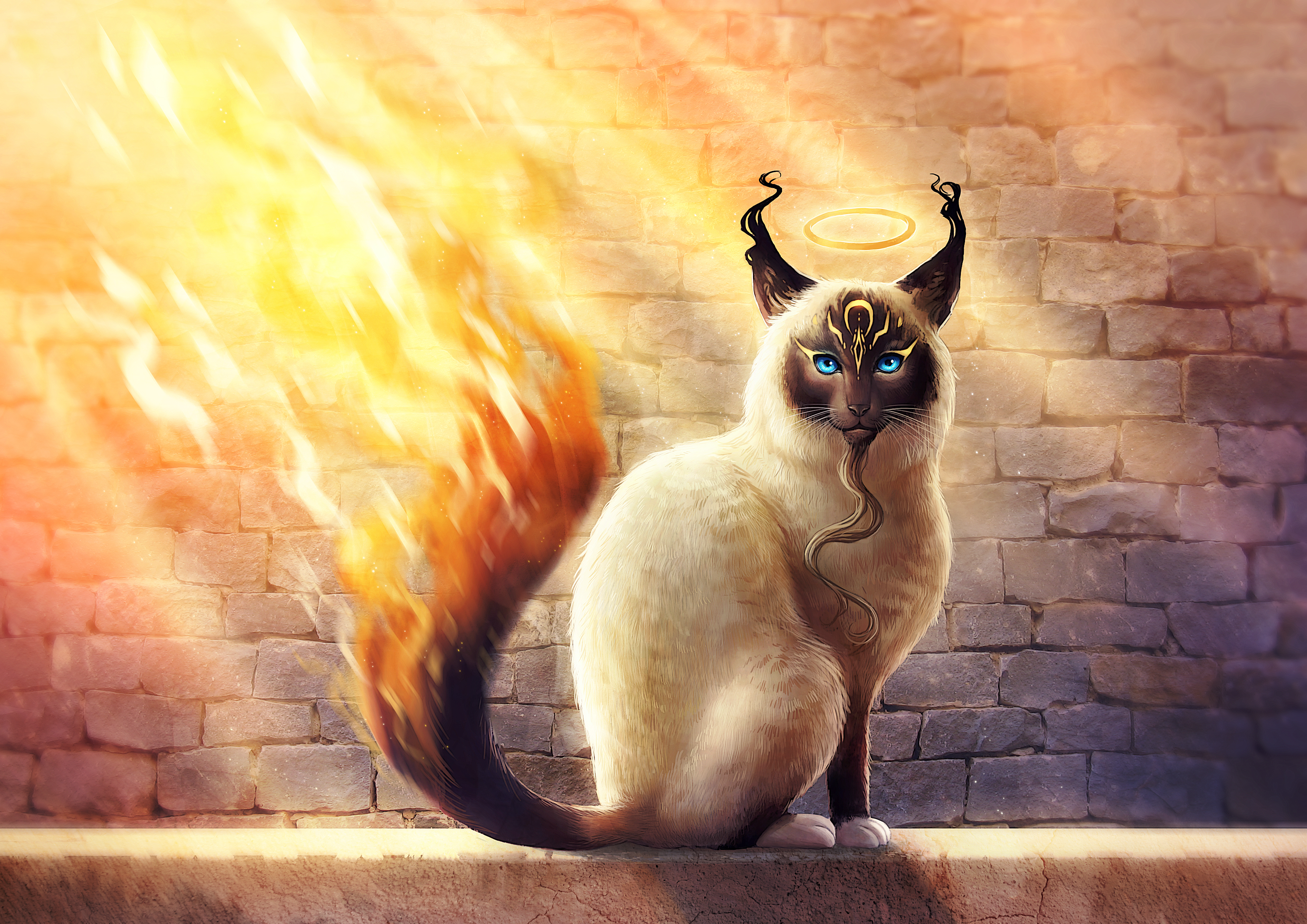 Wallpaper Magic cat with a fiery tail, fantasy.