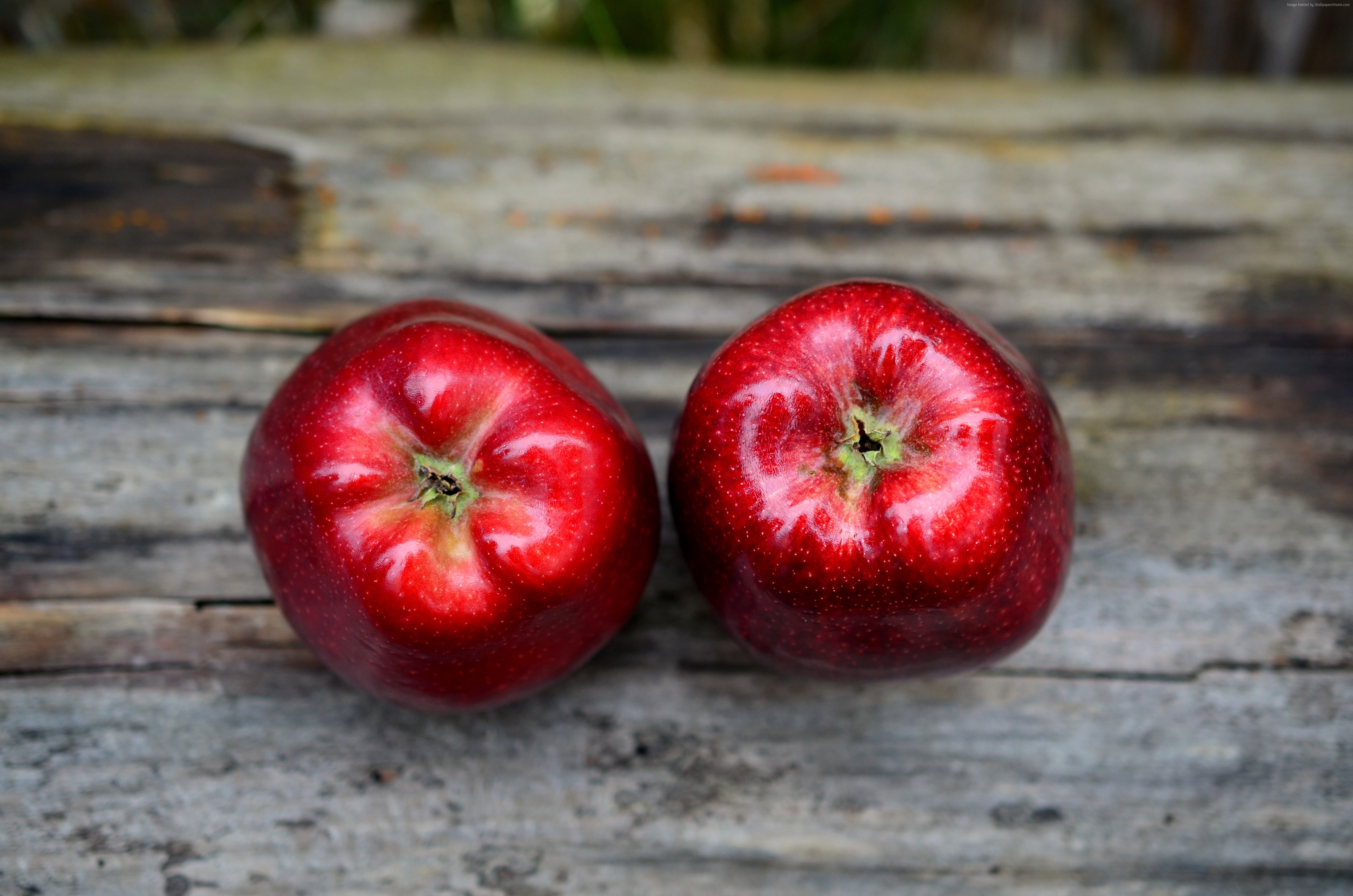Сон есть красные яблоки. Яблоки красные. Яблоко фото. Красное яблочко. Два красных яблока.