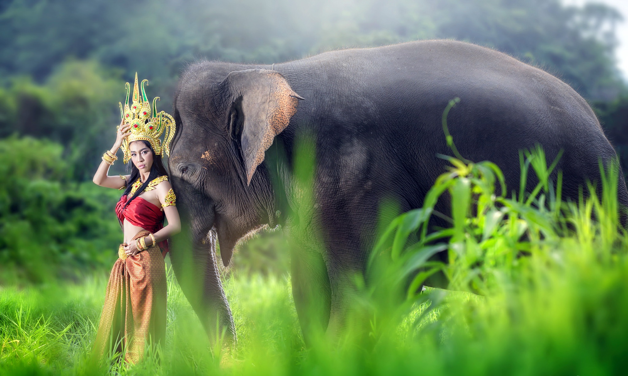 Wallpaper Asian girl in a beautiful suit with a big gray elephant.