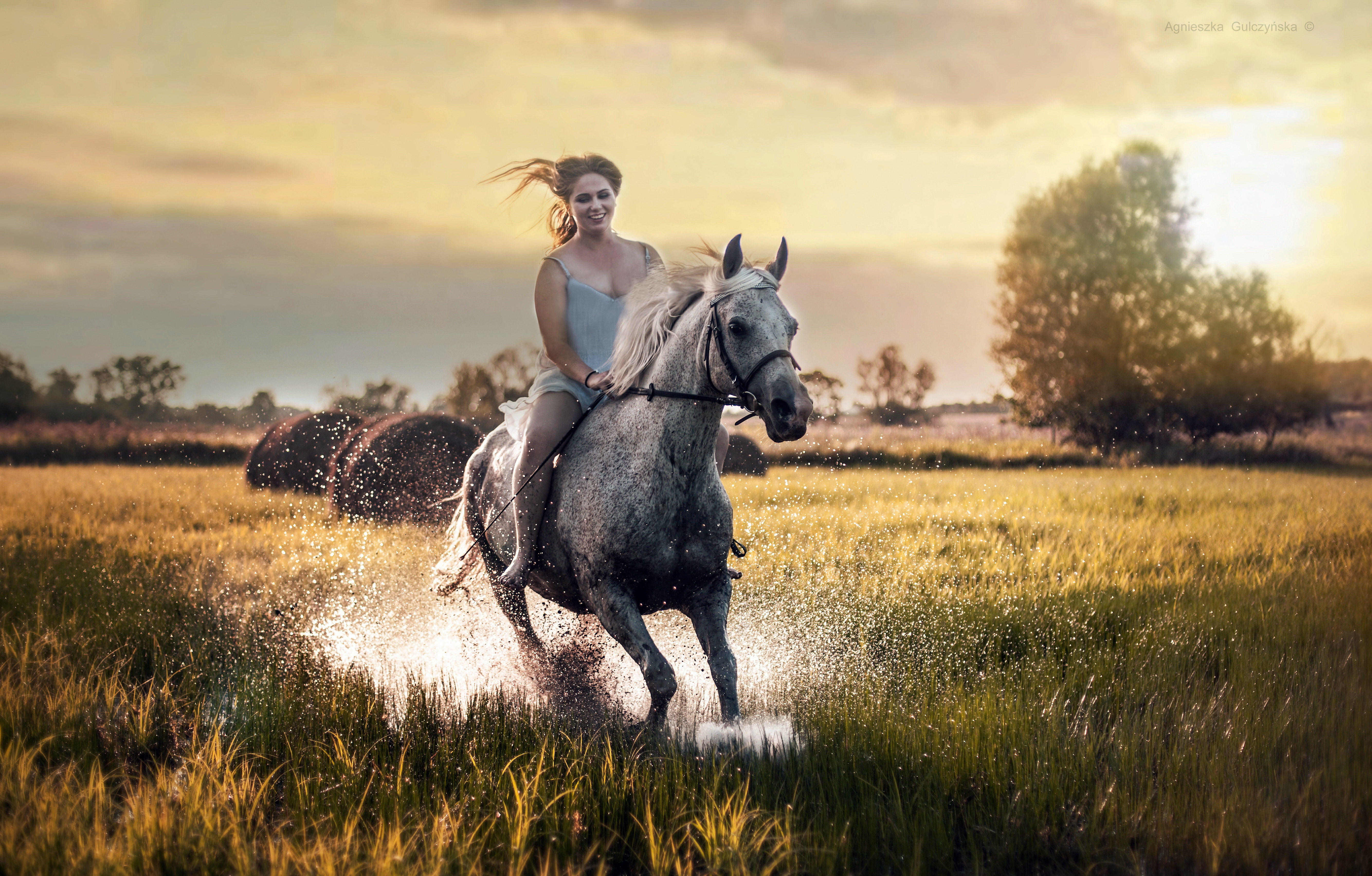Проскачу на коне. Девушка с лошадью. Девушка на коне. Девушка скачет на лошади. Лошадь в поле.