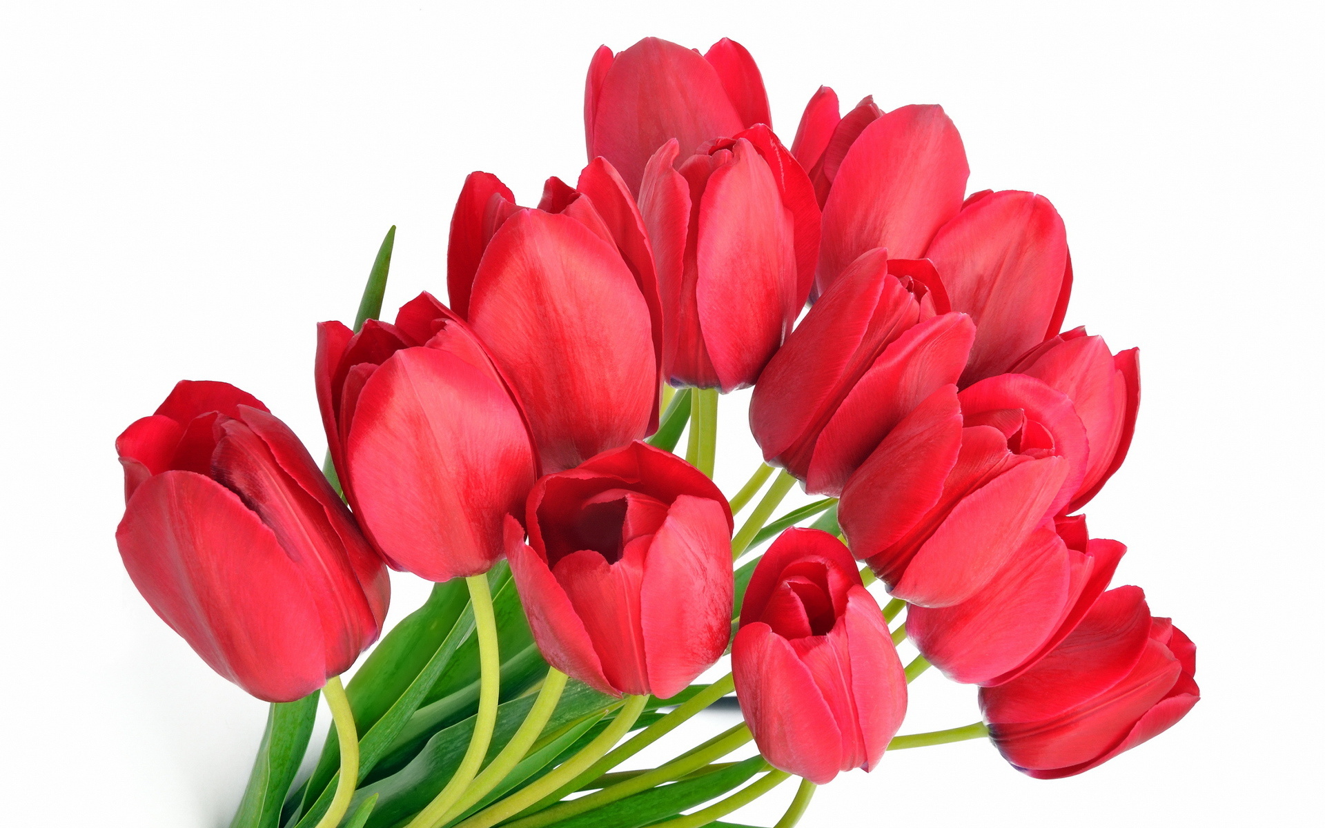 Открытки с 8 марта с тюльпанами