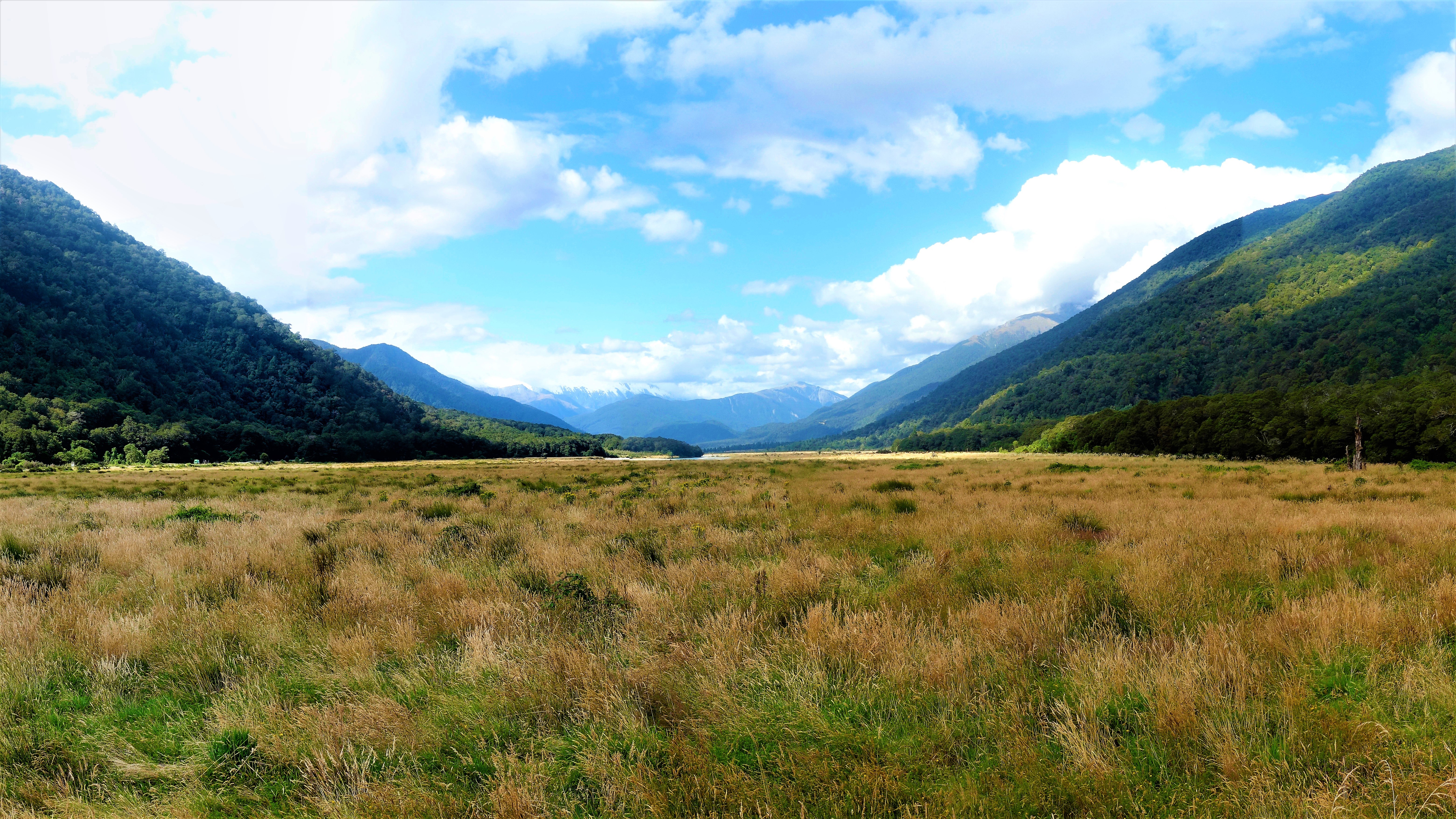 Mountain land. Долины новой Зеландии. Туссоки новой Зеландии. Новая Зеландия равнины. Горные (криоксерофильные) степи.