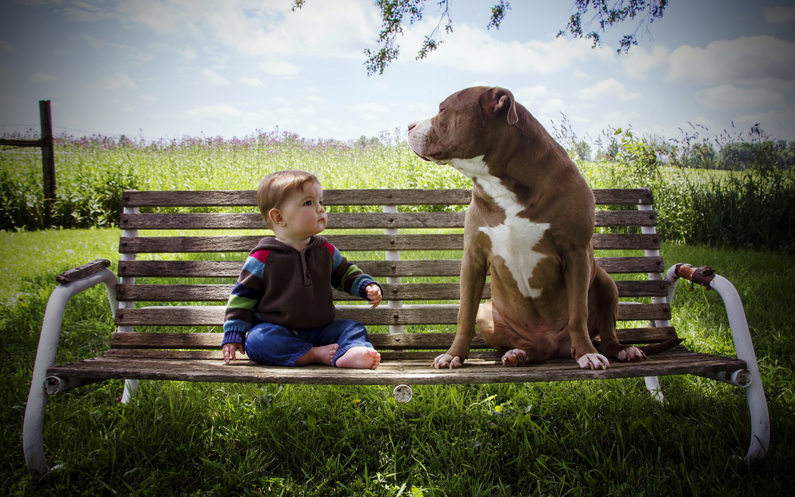 Мальчик с собакой на скамейке