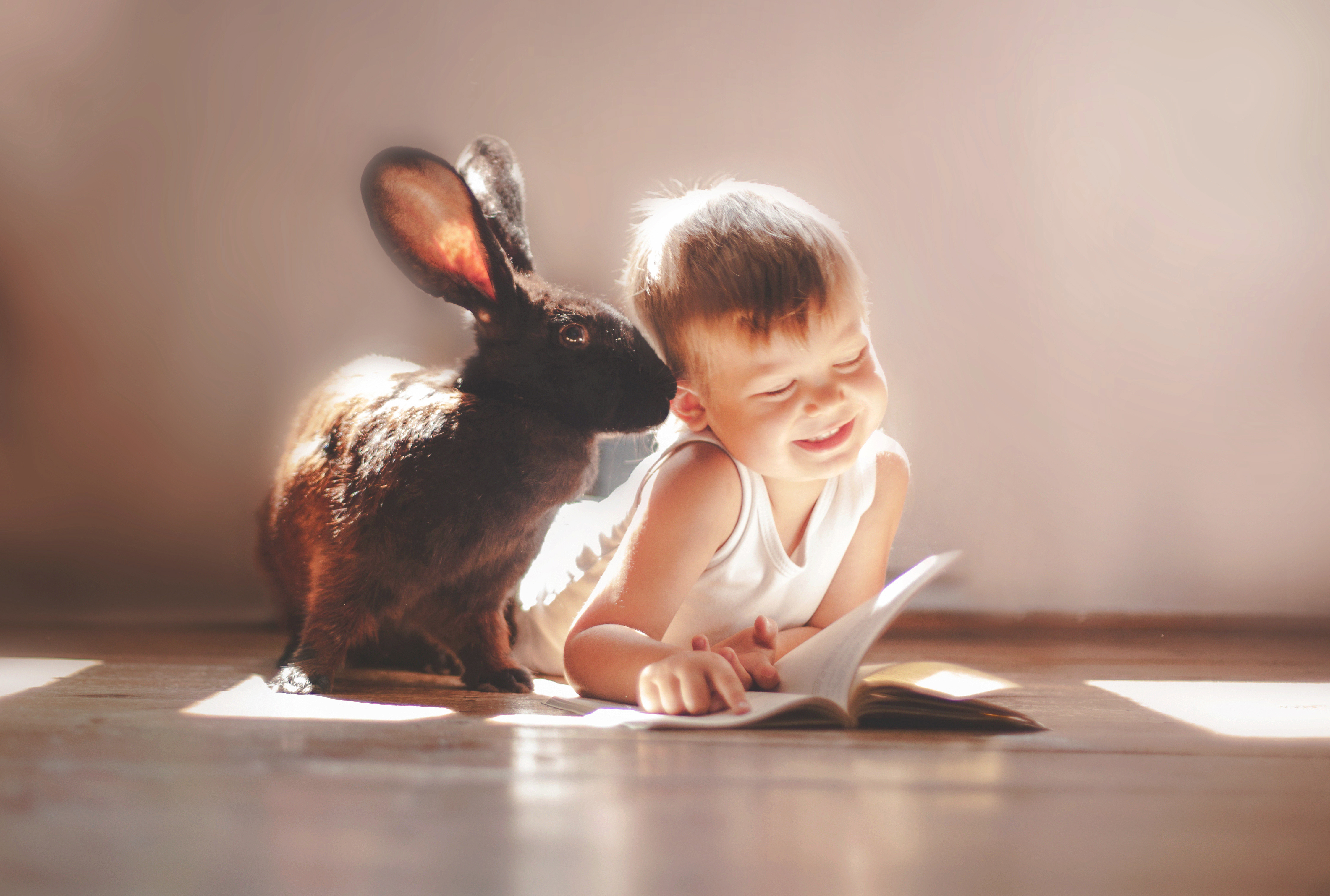 I a pet rabbit. Для детей. Животные. Ребенок и животное. Животные для малышей. Кролик для детей.
