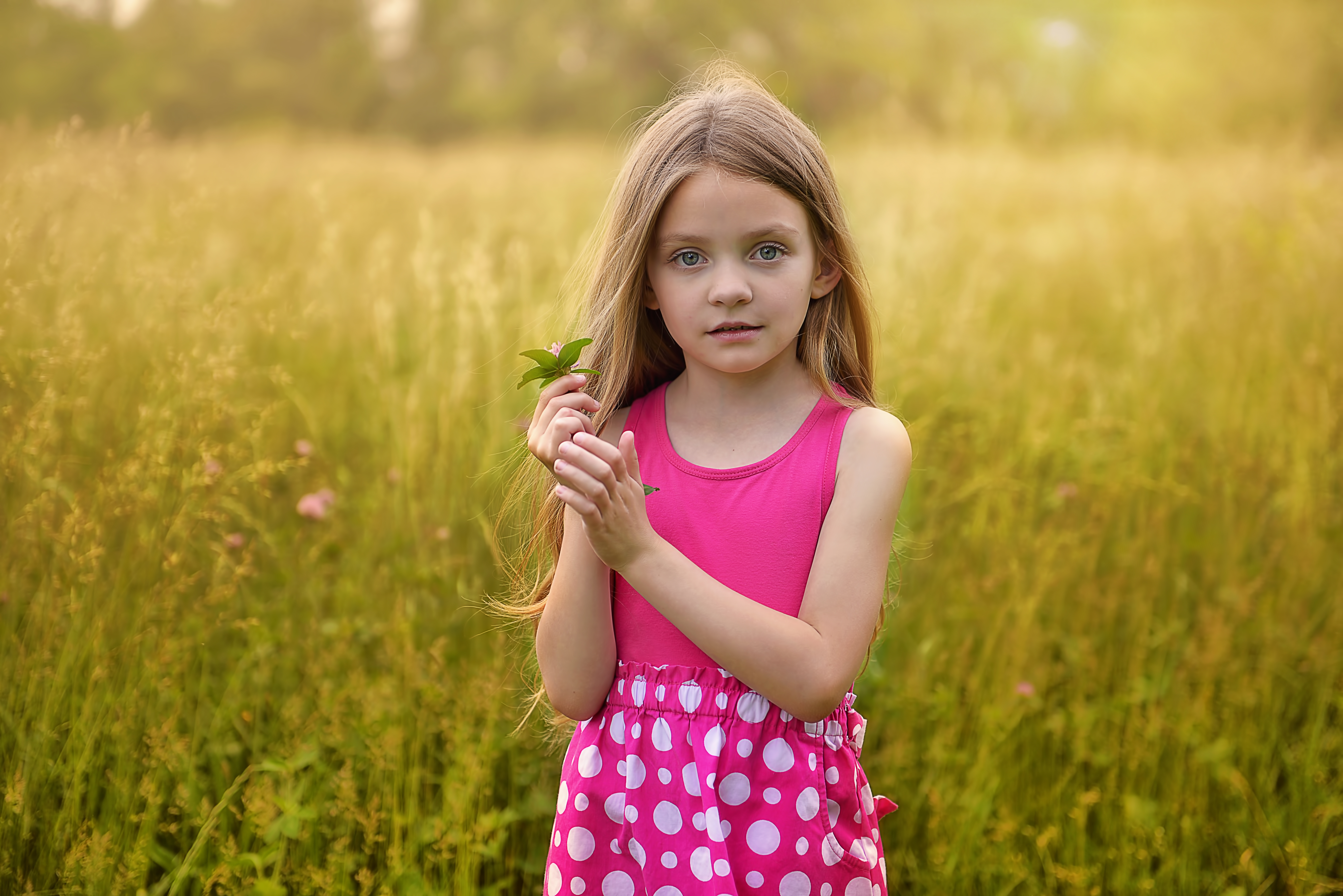 Wallpaper Little long-haired girl in a pink sarafan on the field.