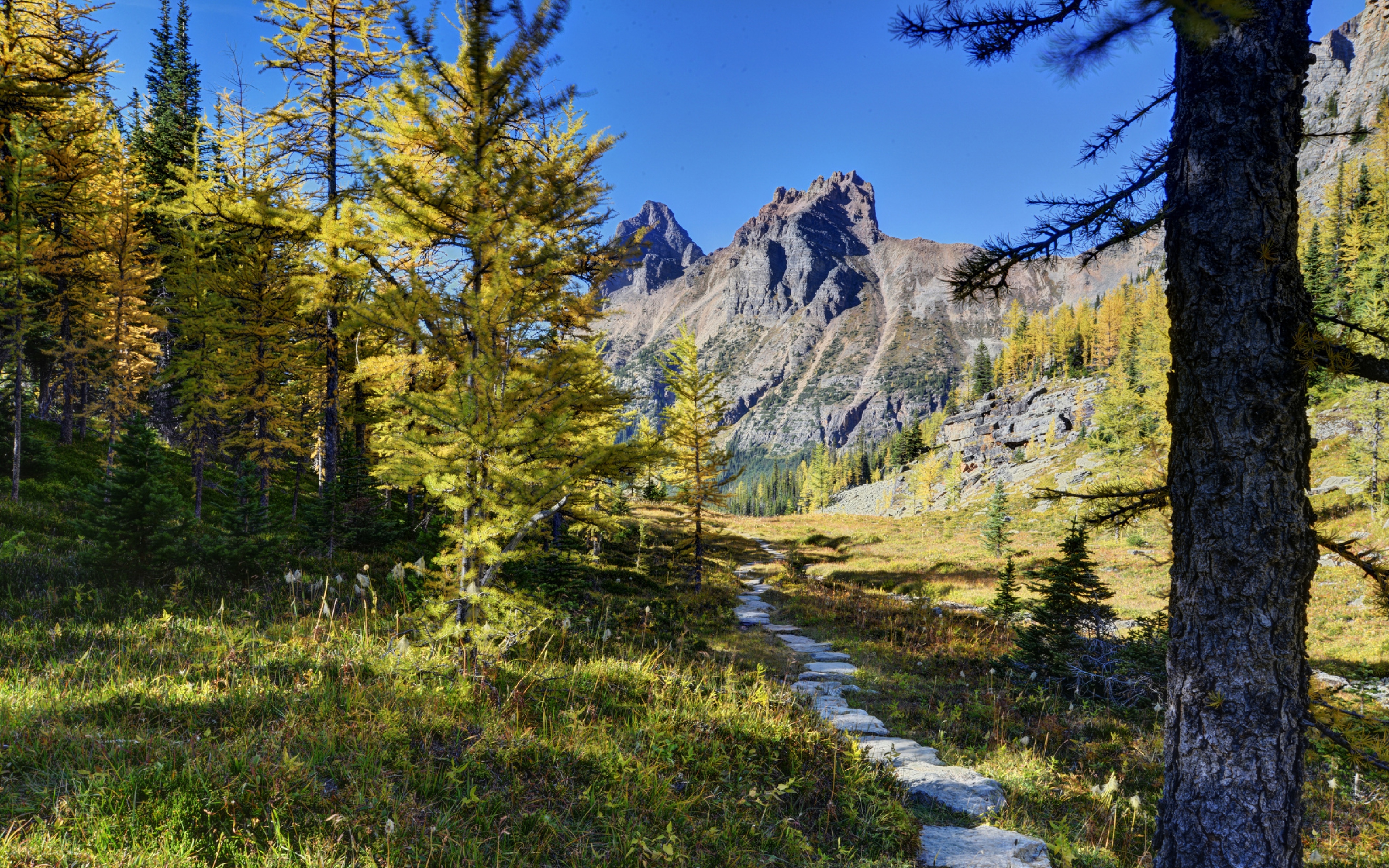 Wallpaper Landscape in the picturesque Yoho National Park, Canada.