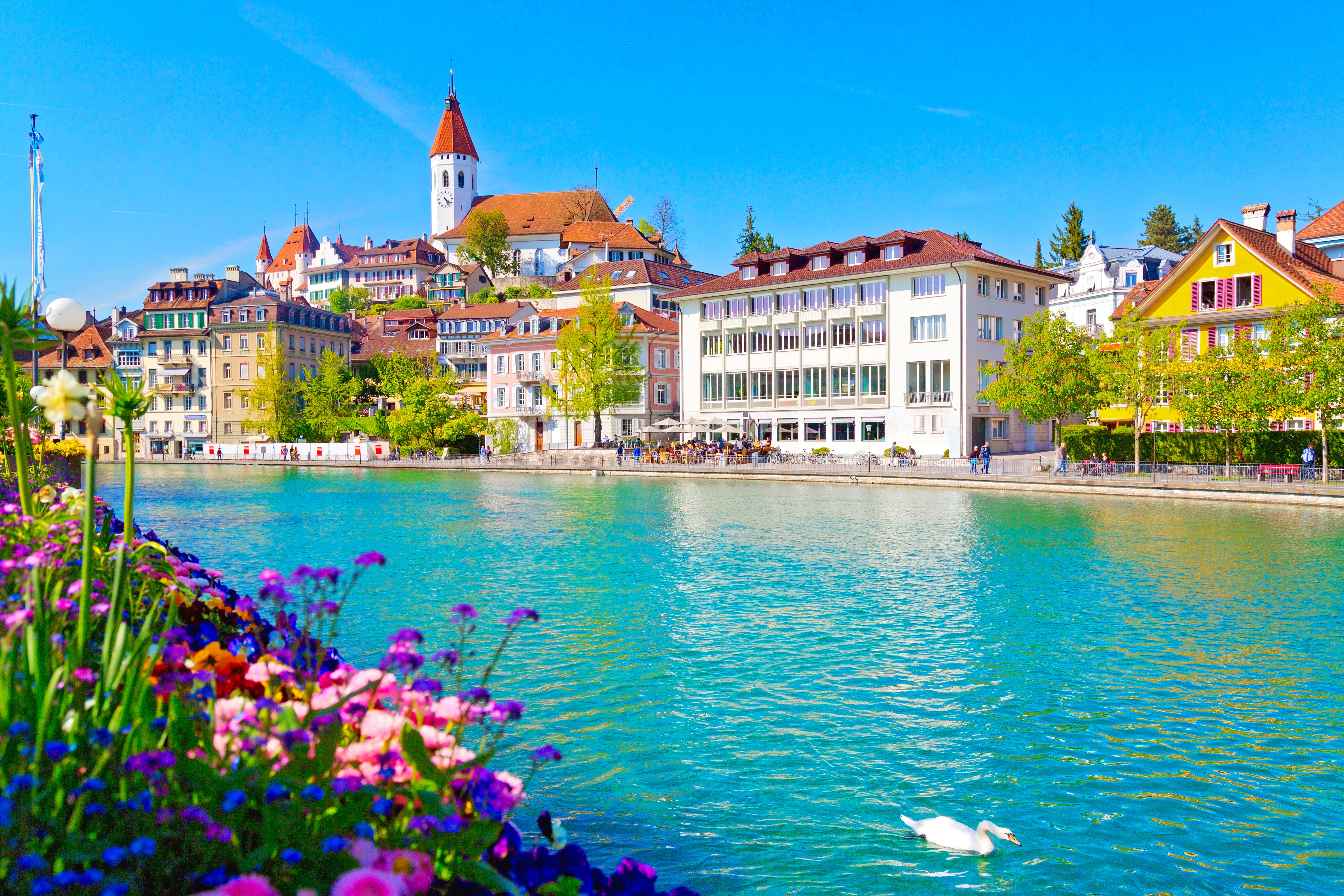 Свитзерланд. Thun Швейцария. Тун город в Швейцарии. Ааре река в Швейцарии. Лозанна Швейцария.