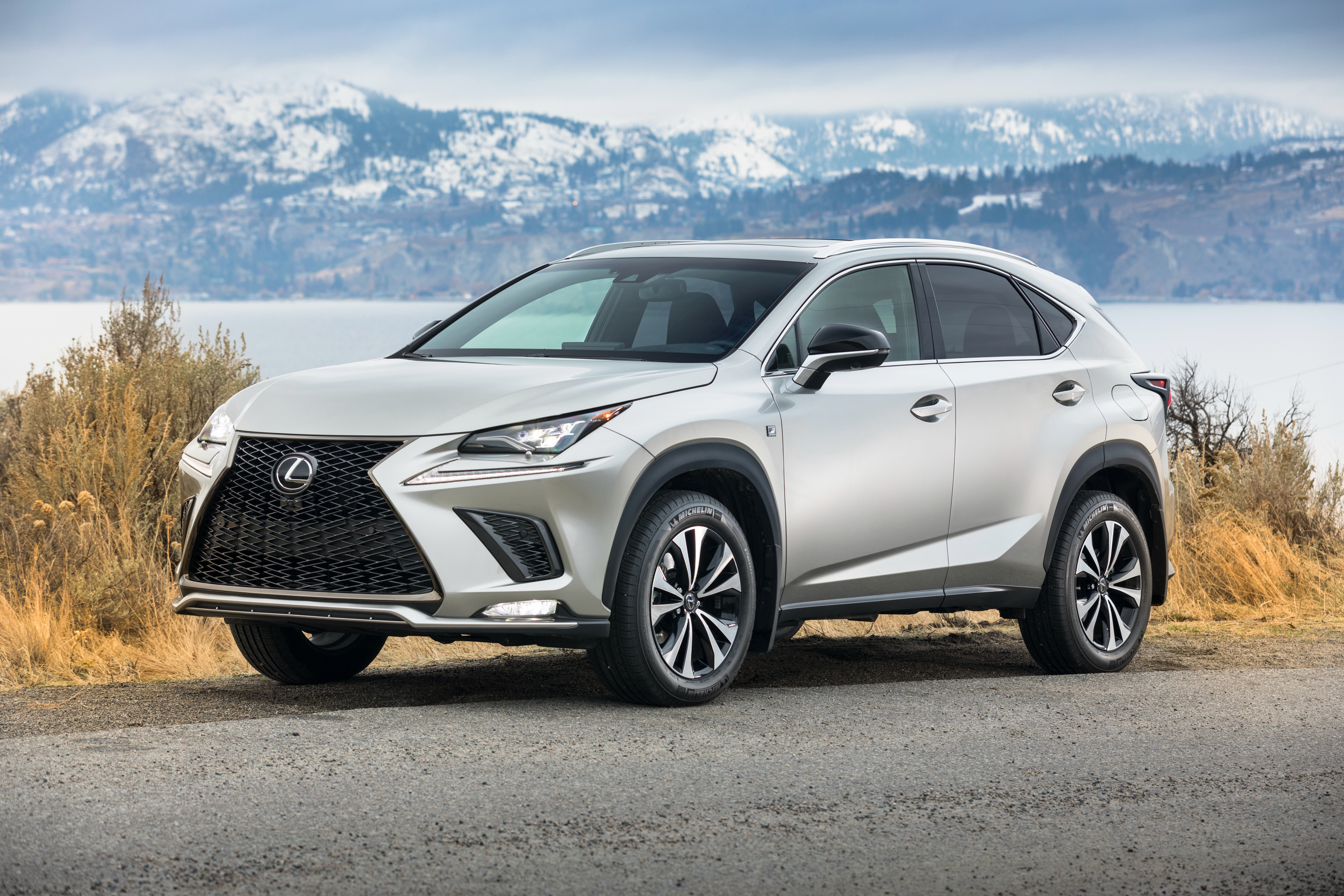 Silver nx. Lexus NX 300 F Sport. Lexus NX 300 белый. Лексус NX F Sport 2018. Lexus NX 300 F Sport 2018.