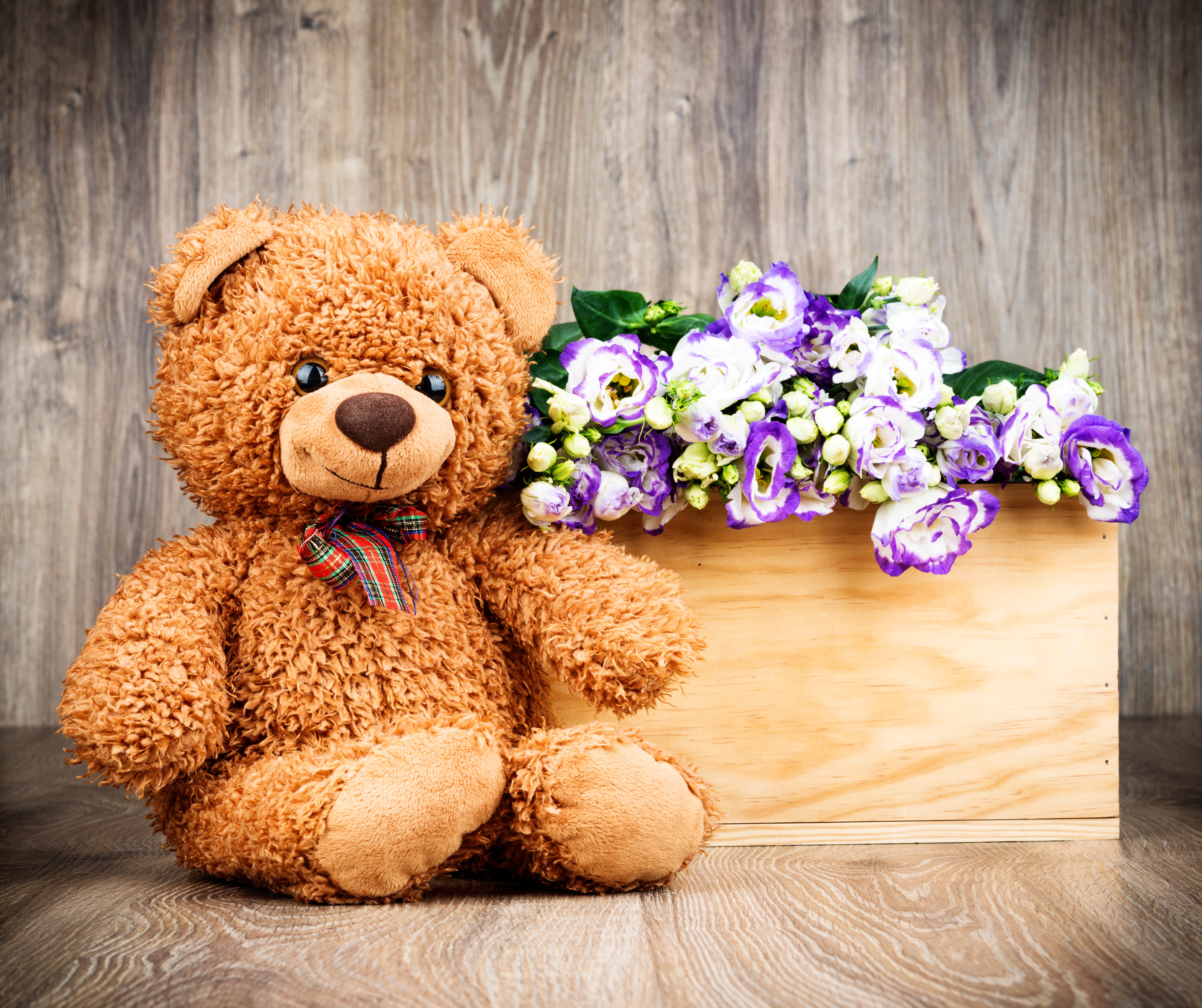 Покажи игрушку на день рождения. Тедди Беар цветы. Мишка с цветами. Медвежонок с букетом. Красивый Медвежонок с цветами.