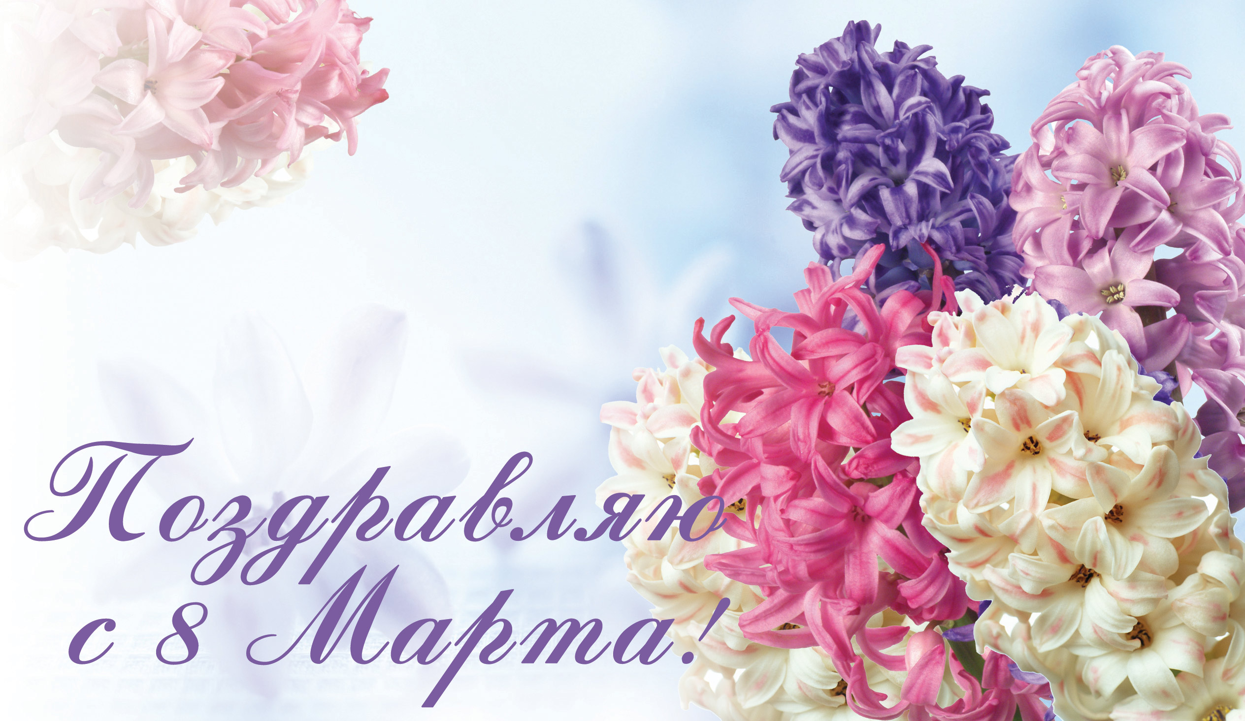 2018Holidays___International_Womens_Day_Greeting_card_with_spring_flowers_hyacinths_on_March_8_130557_.jpg