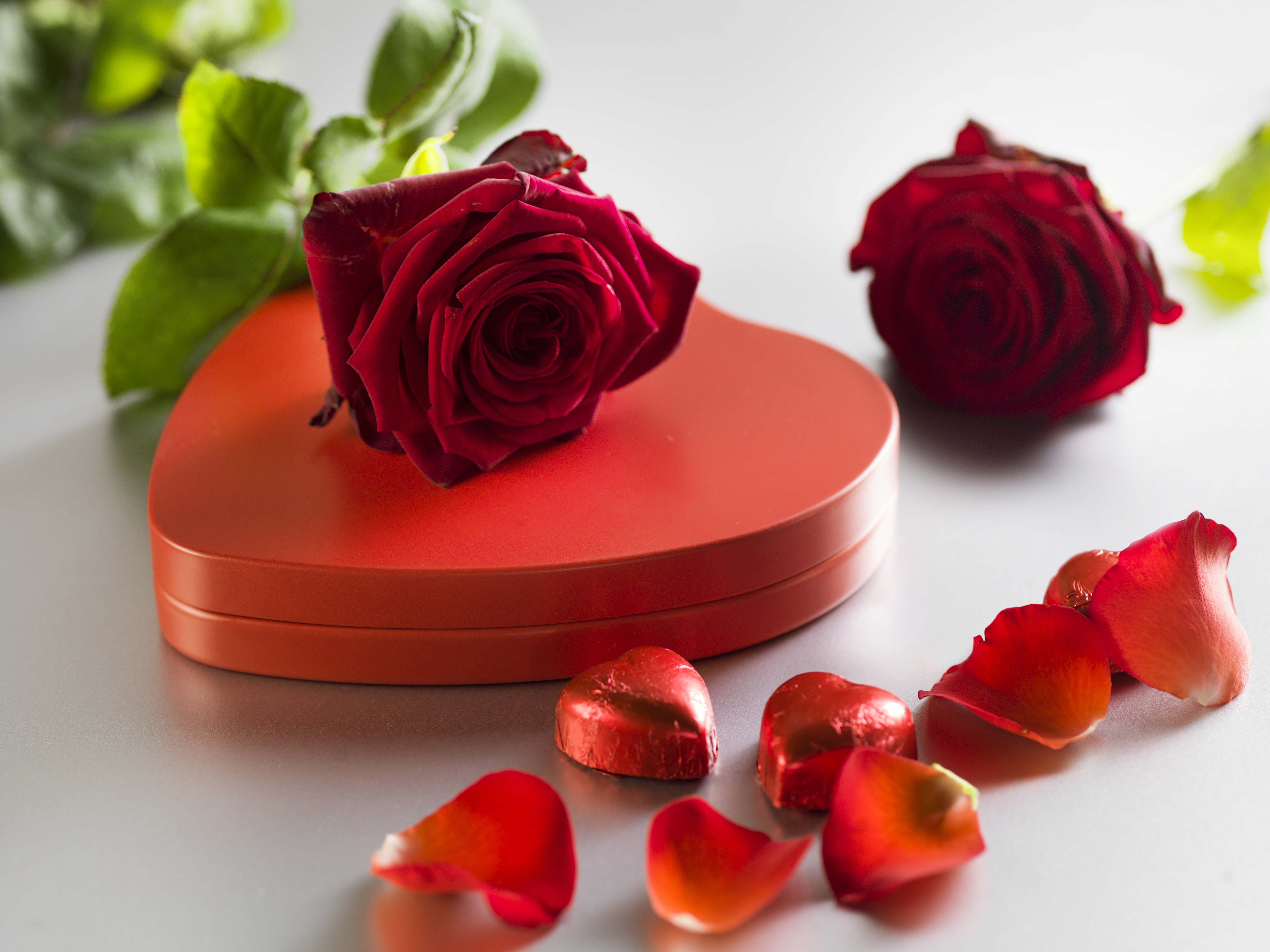 Rose romance. Красные розы. Романтические цветы. Романтические розы. "Цветы любви".