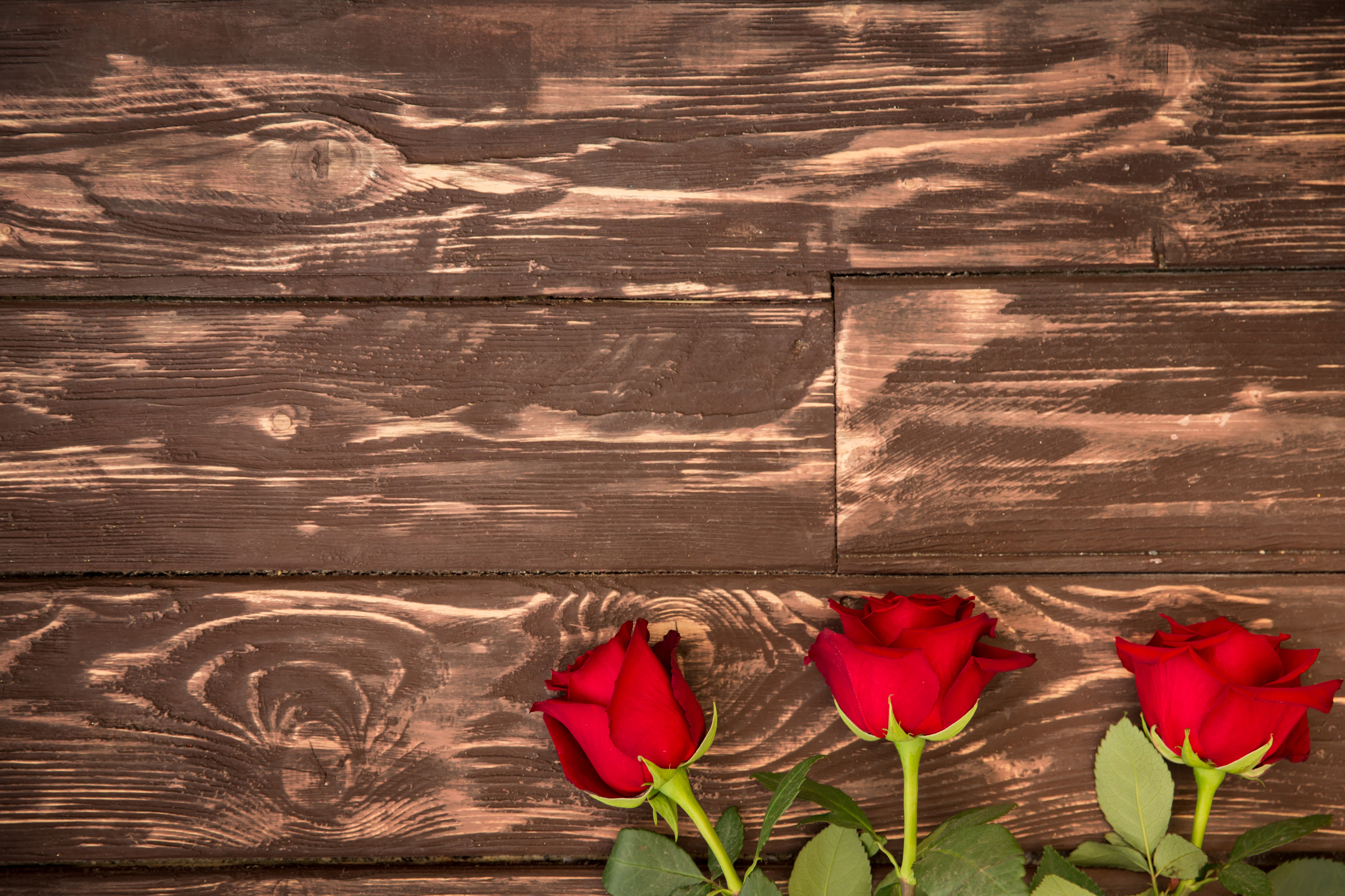 Розы на деревянном фоне