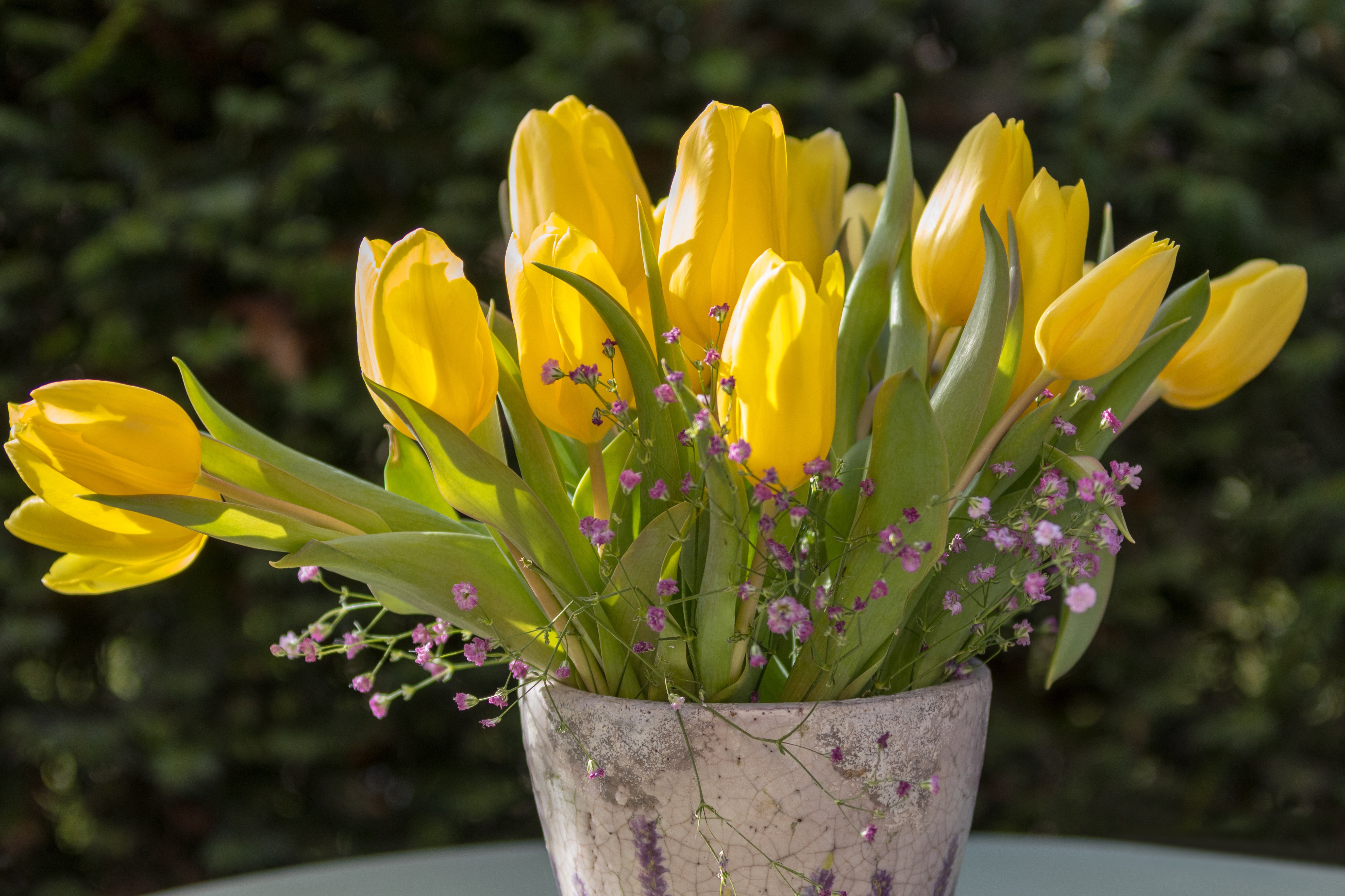 Цветы жёлтые тюльпаны букетик