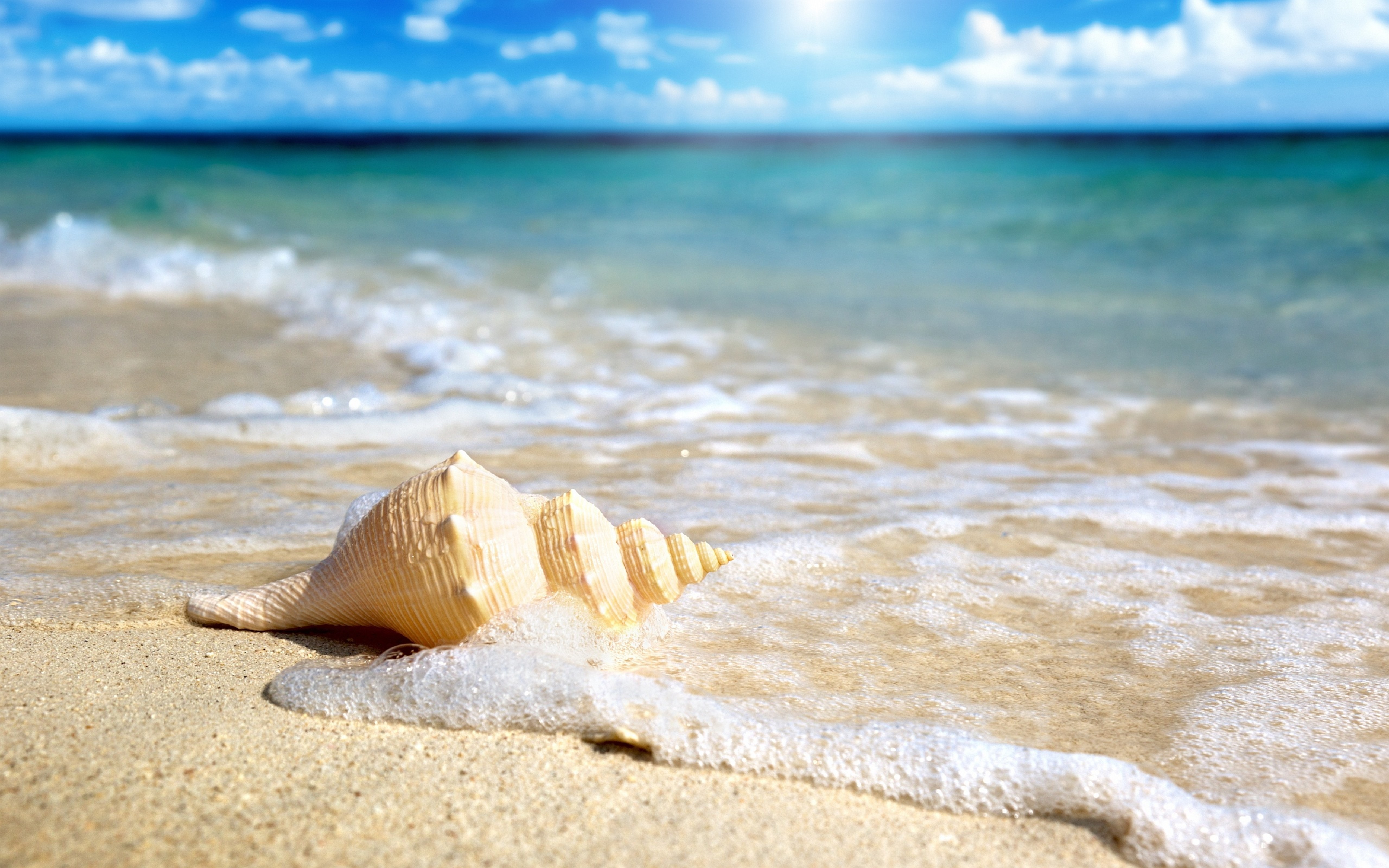 Море солнце песок фото