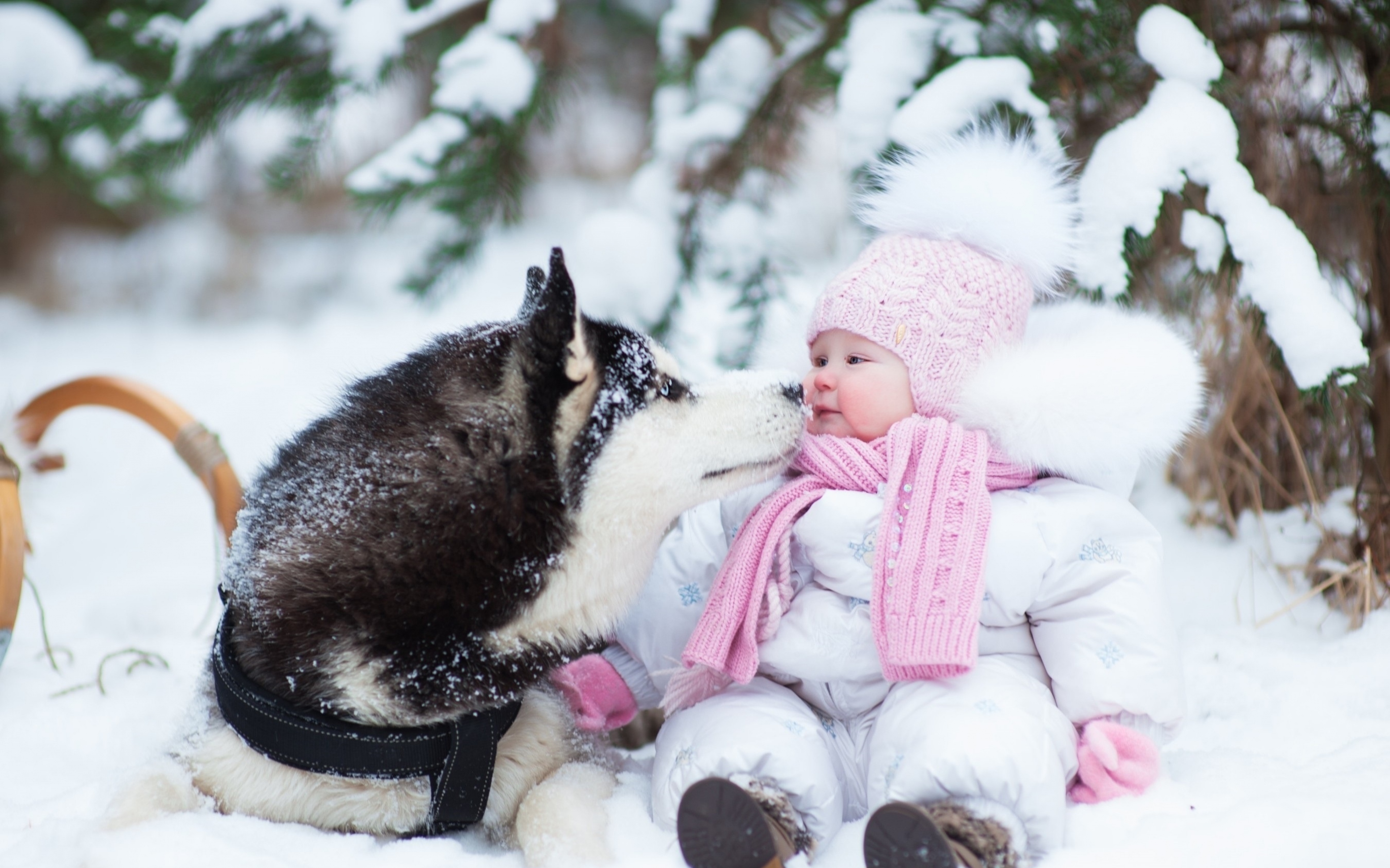 Зимой дети любят. Дети зимой. Дети и животные зима. Зимние собаки. Для детей. Животные.