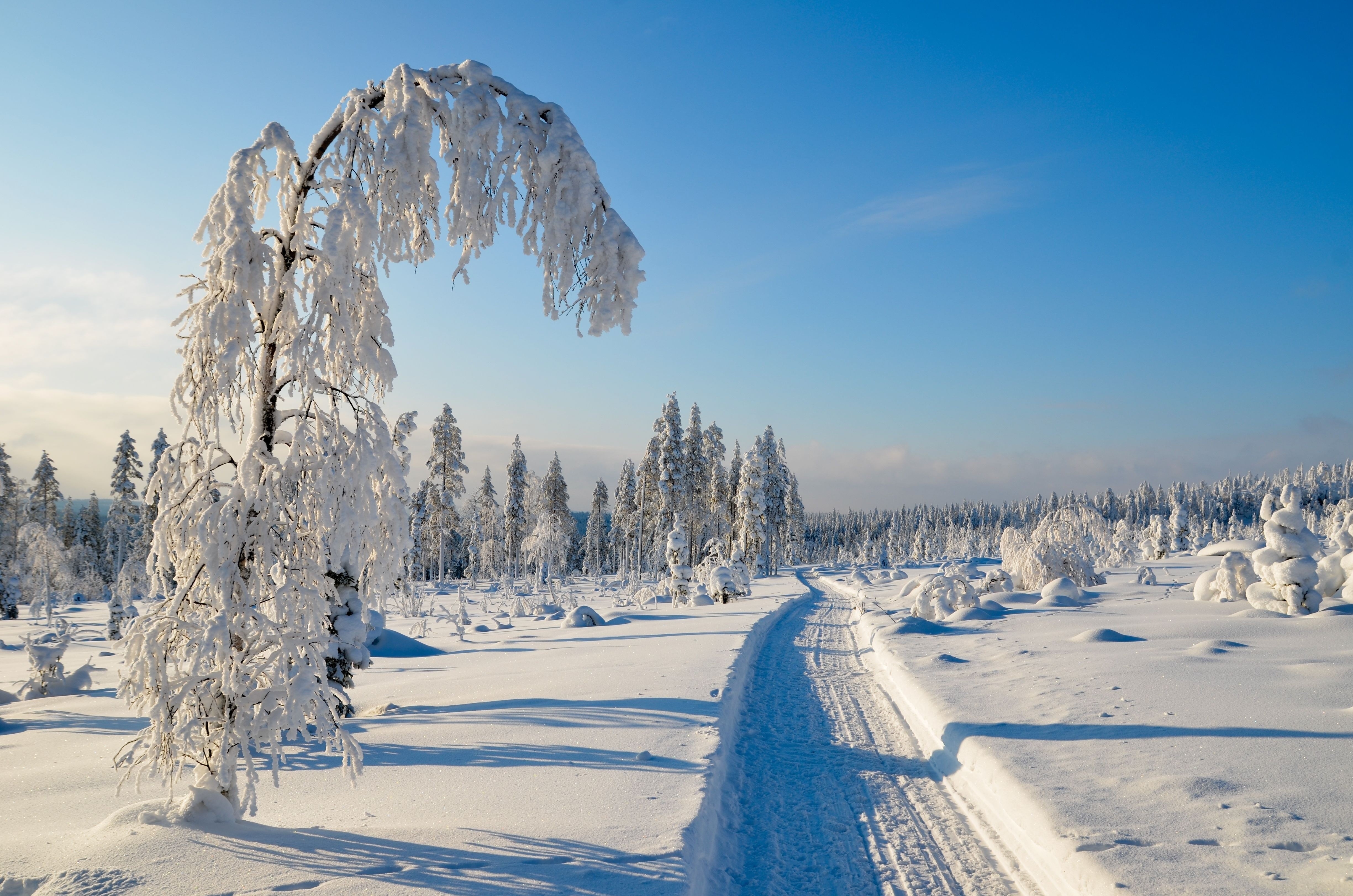 Зимний пейзаж Финляндия
