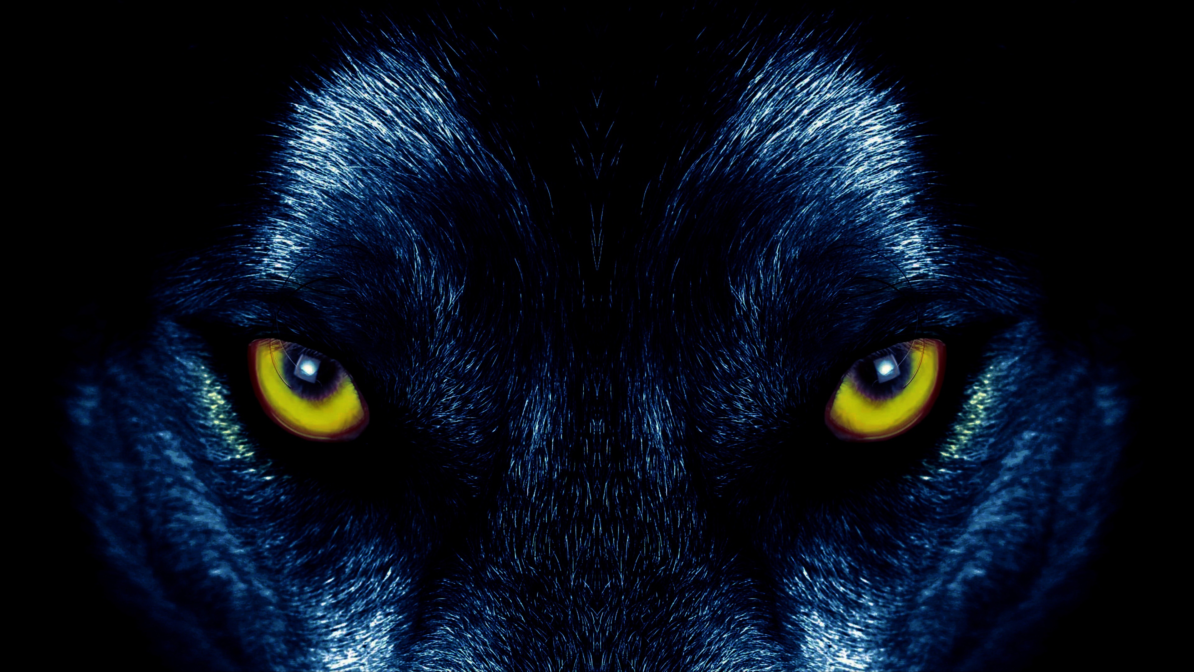 Обои глазки. Глаз волка. Взгляд волка. Волчьи глаза в темноте. Страшный взгляд волка.