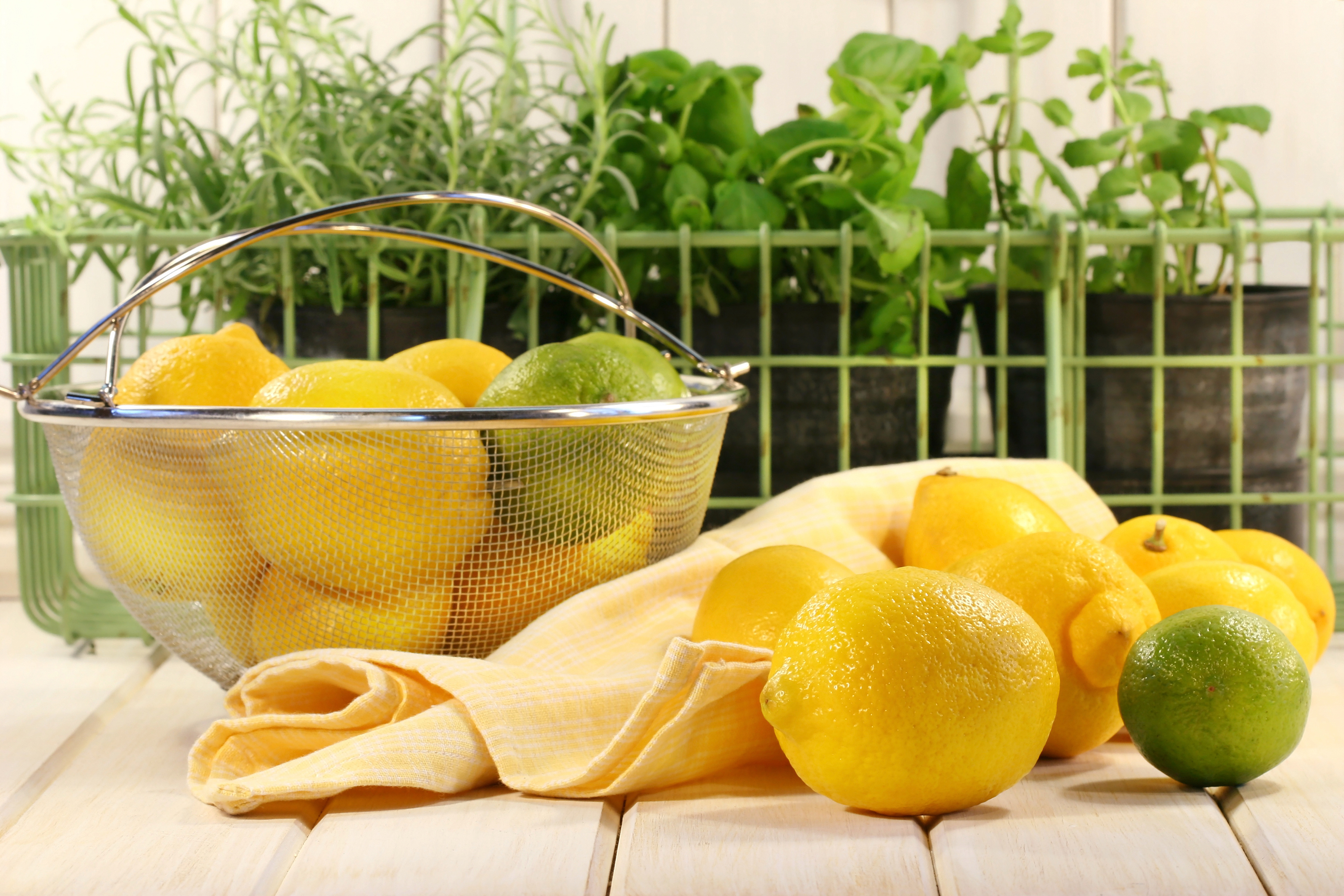 Можно кормящим лимоны. Лимон. Лимоны в интерьере. Лимон фото. Сочные лимоны на столе.