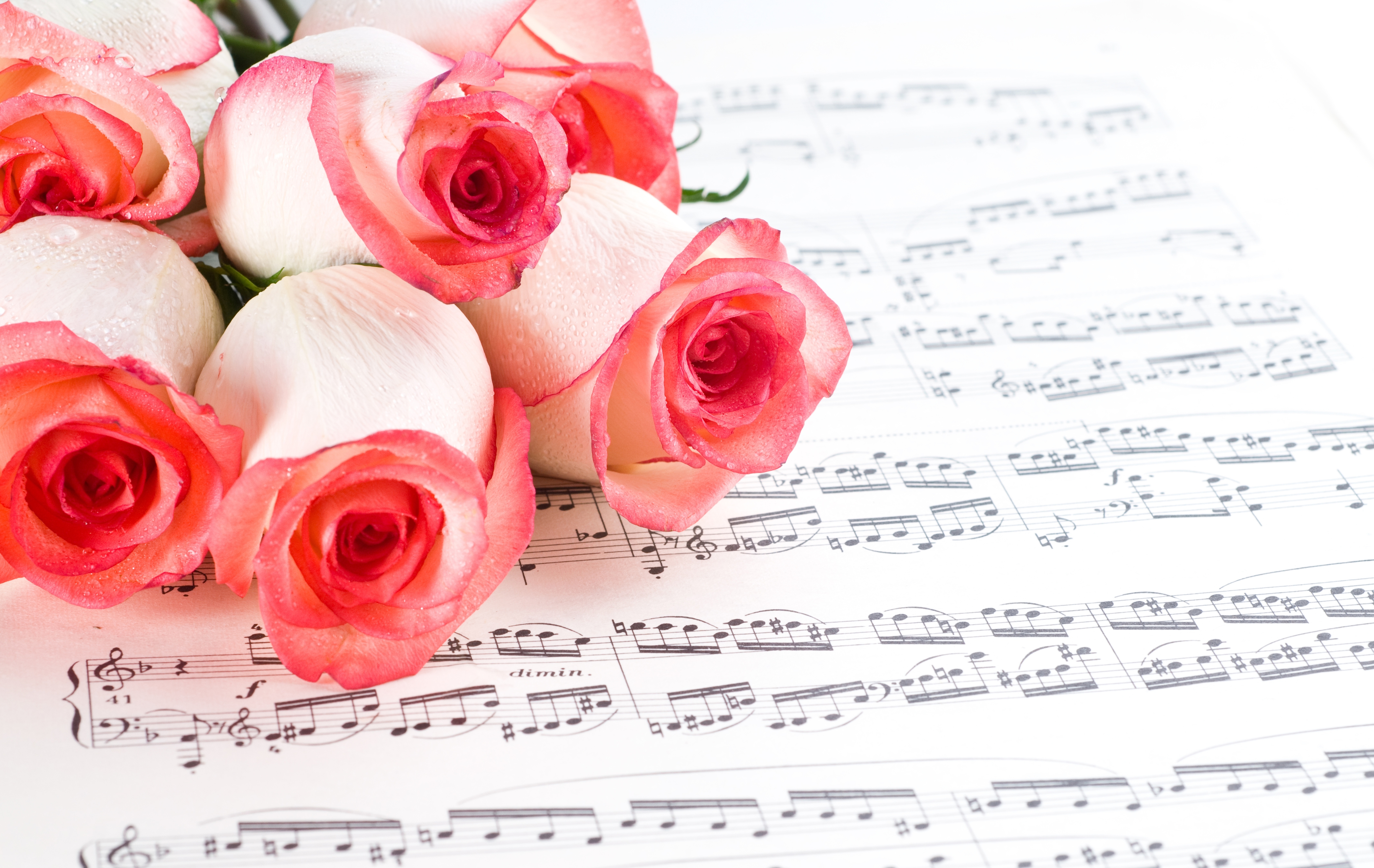 День учителя поздравление учителю музыки. Фон для поздравительной открытки. Ноты и цветы. Музыкальный фон. Красивый фон для поздравления.