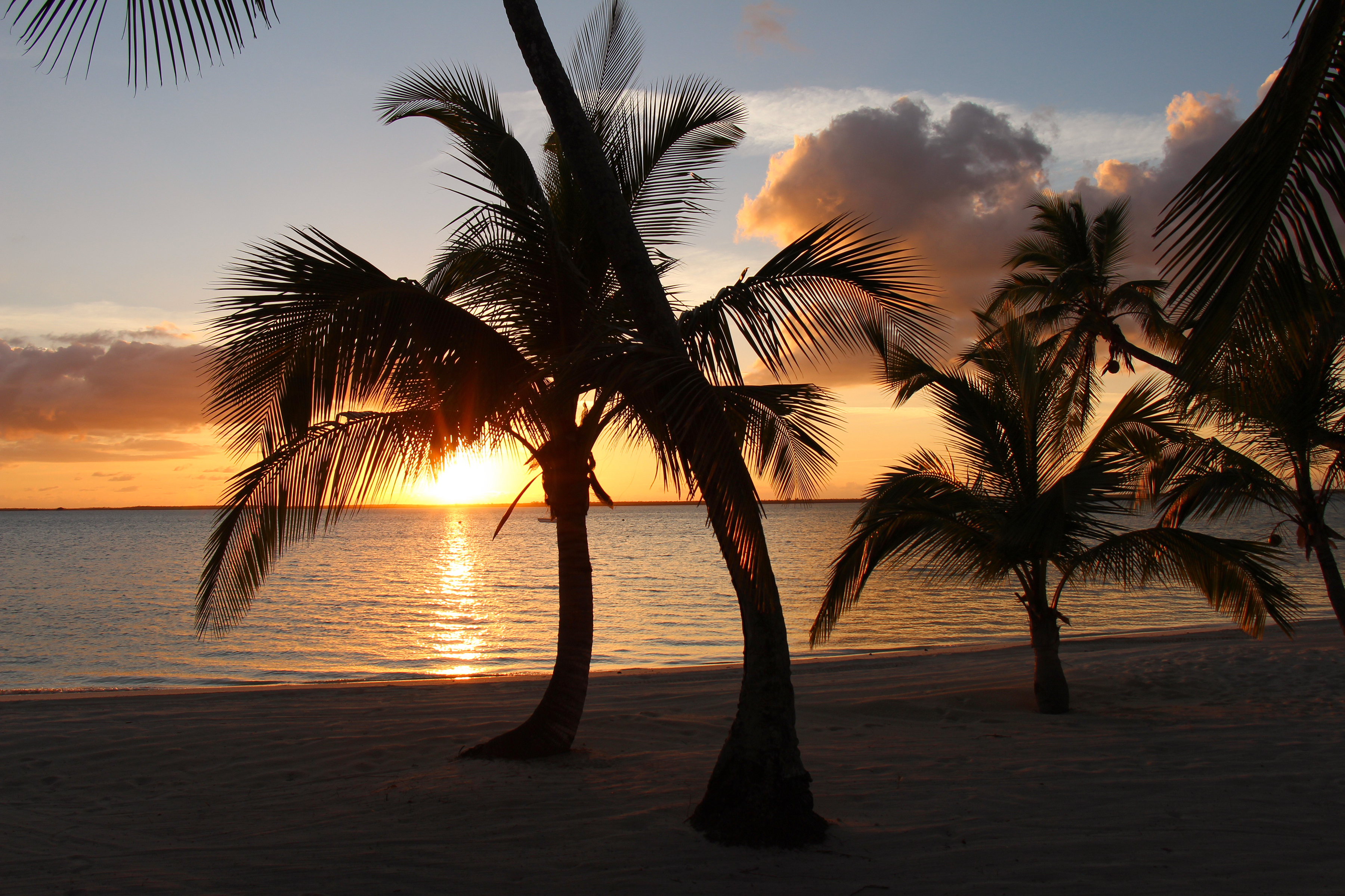 Фото с пальмами и морем