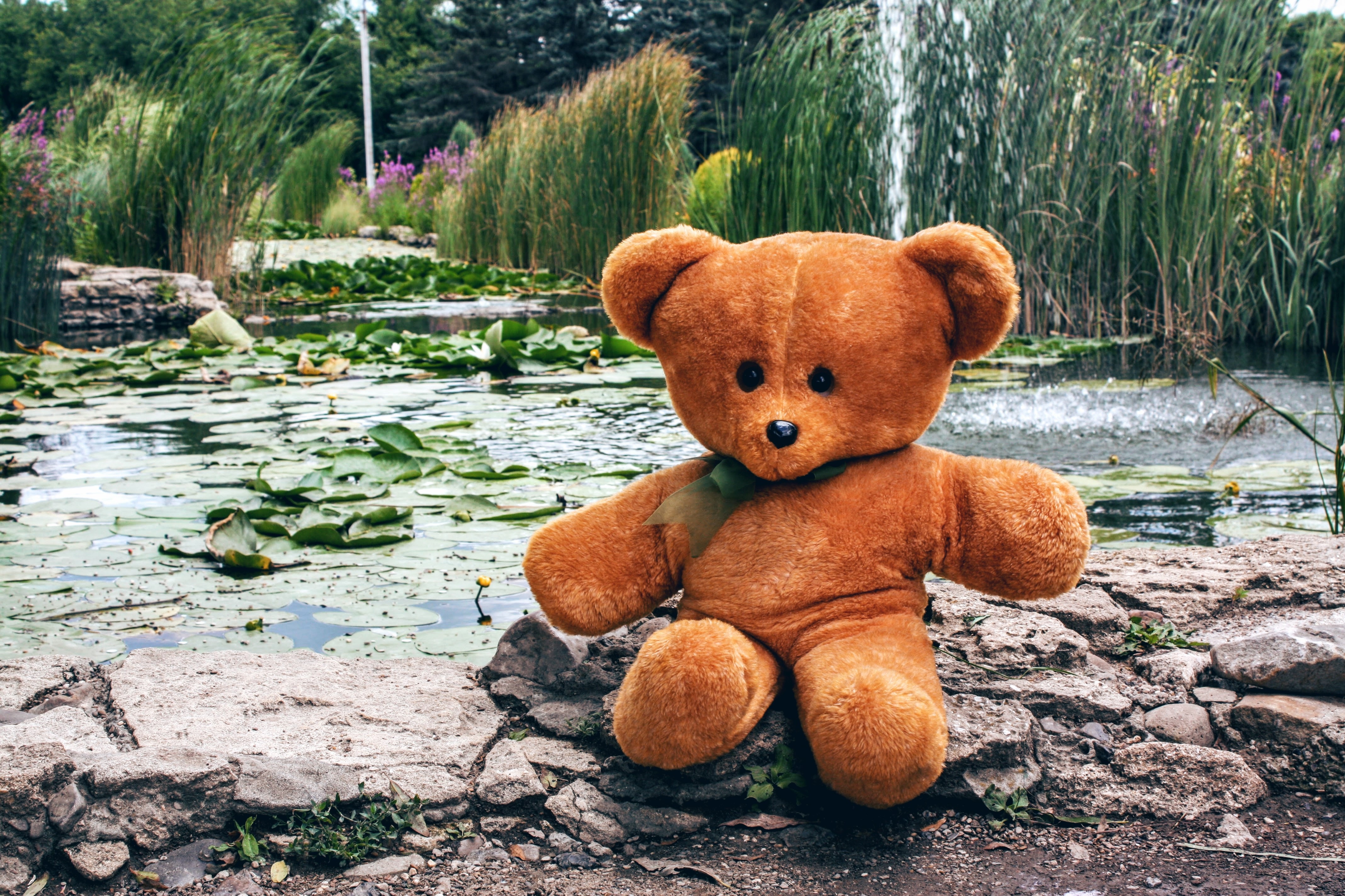 Wallpaper Teddy bear sits on a stone by the pond.