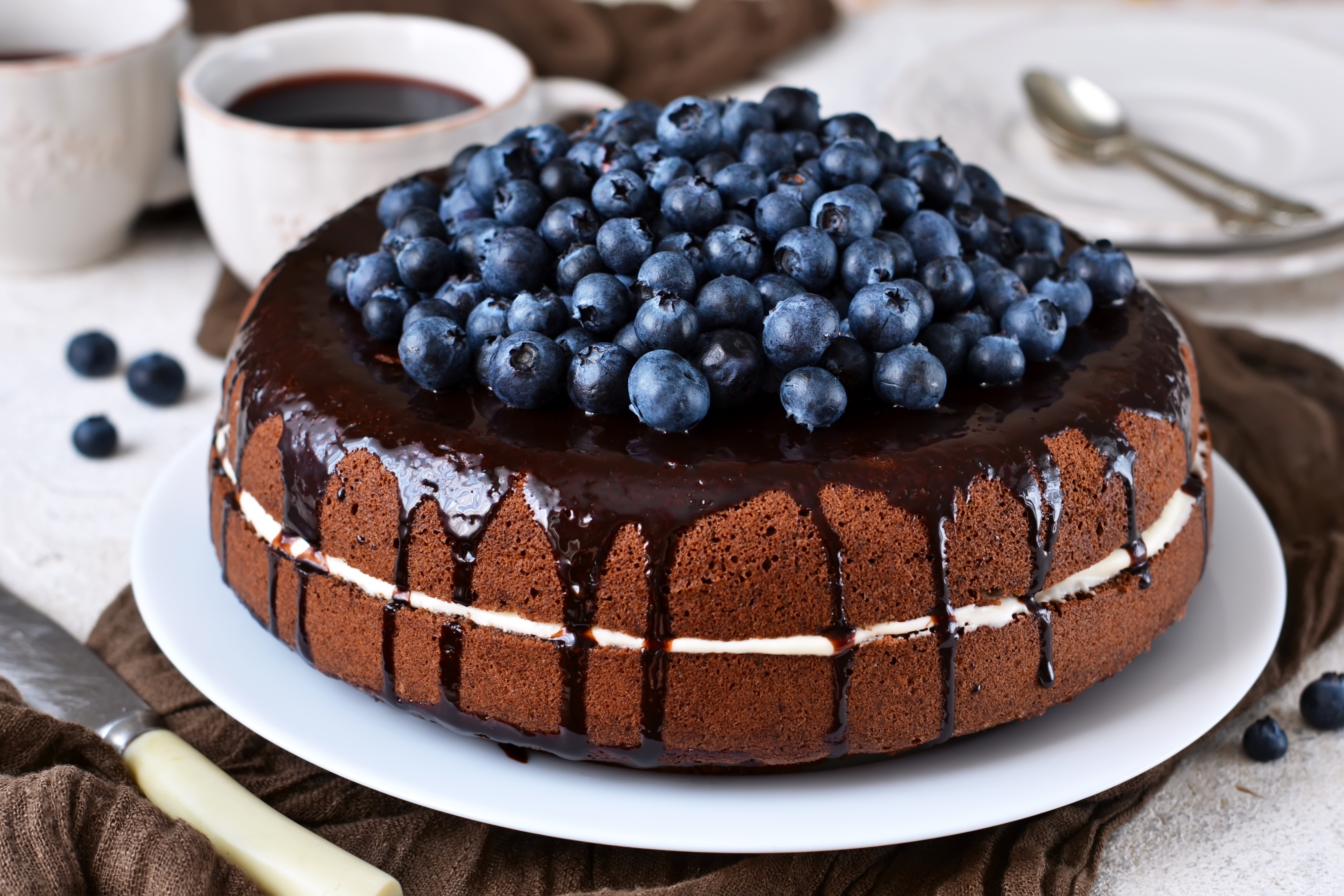 Черничный пирог с шоколадом
