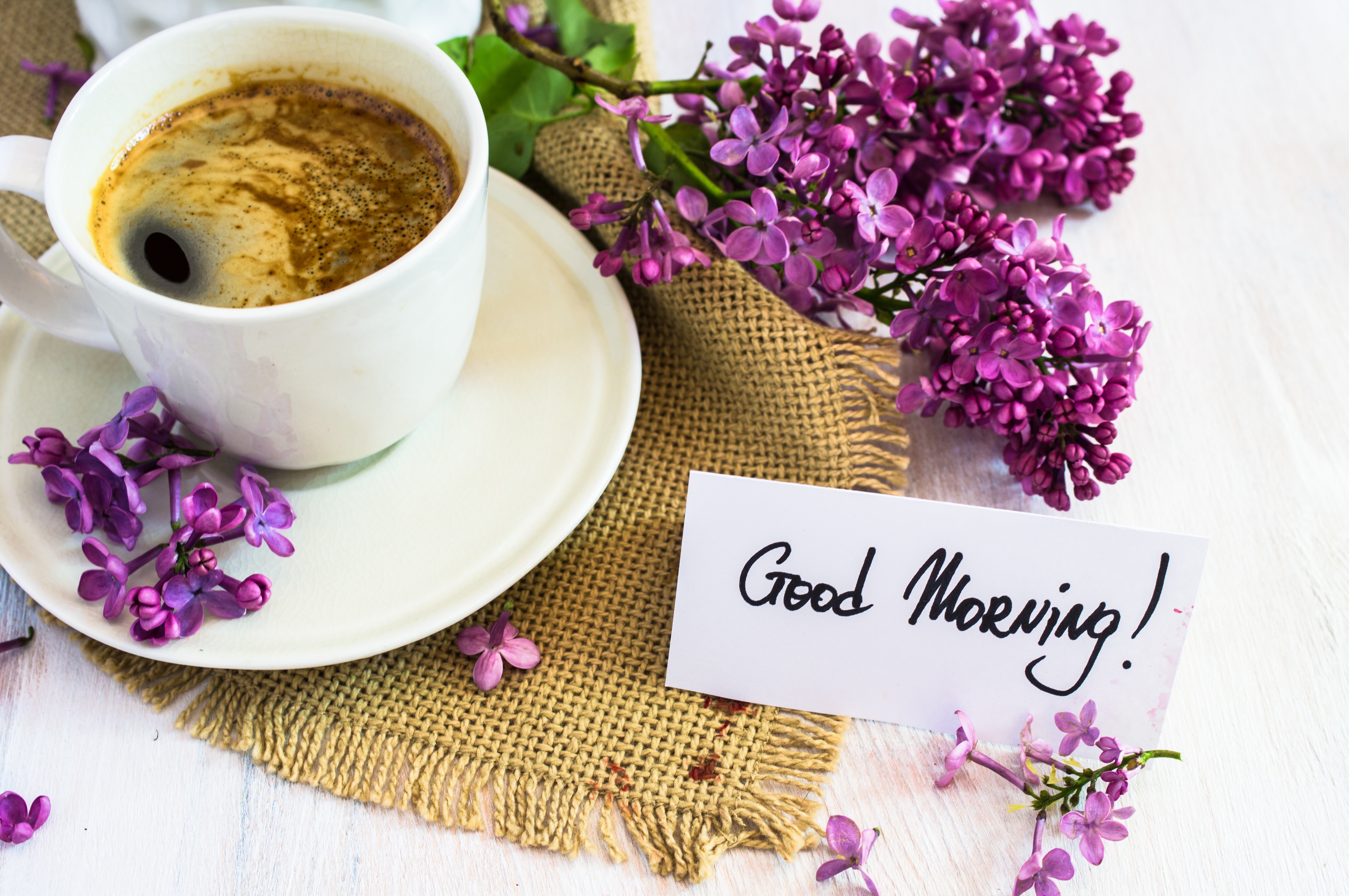 Utro. Кофе и цветы. Утро кофе. Доброе утро кофе. Заставки на рабочий стол кофе и цветы.