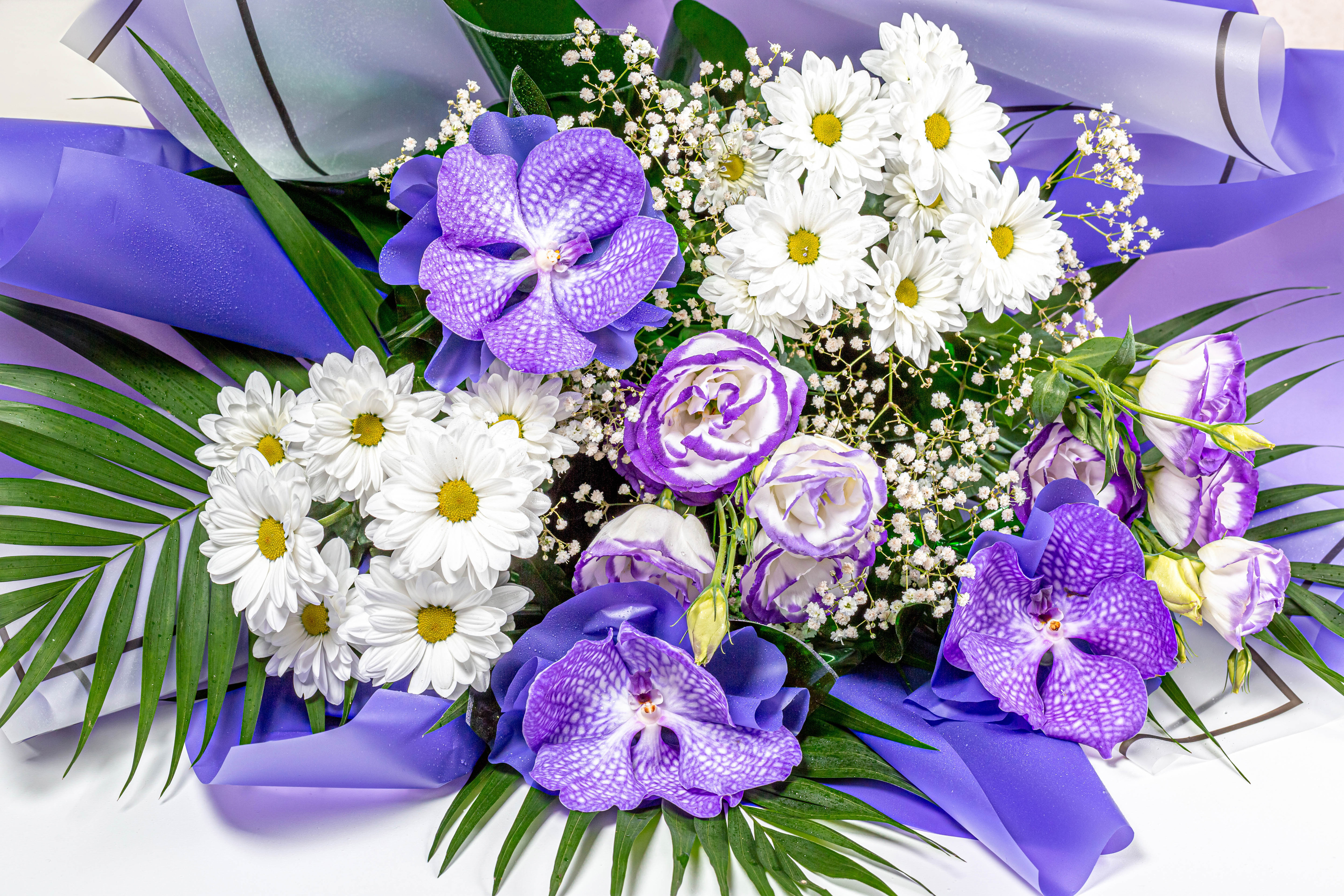 https://on-desktop.com/wps/2020Nature___Flowers_Beautiful_bouquet_with_orchid__chrysanthemum_and_eustoma_flowers_140334_.jpg