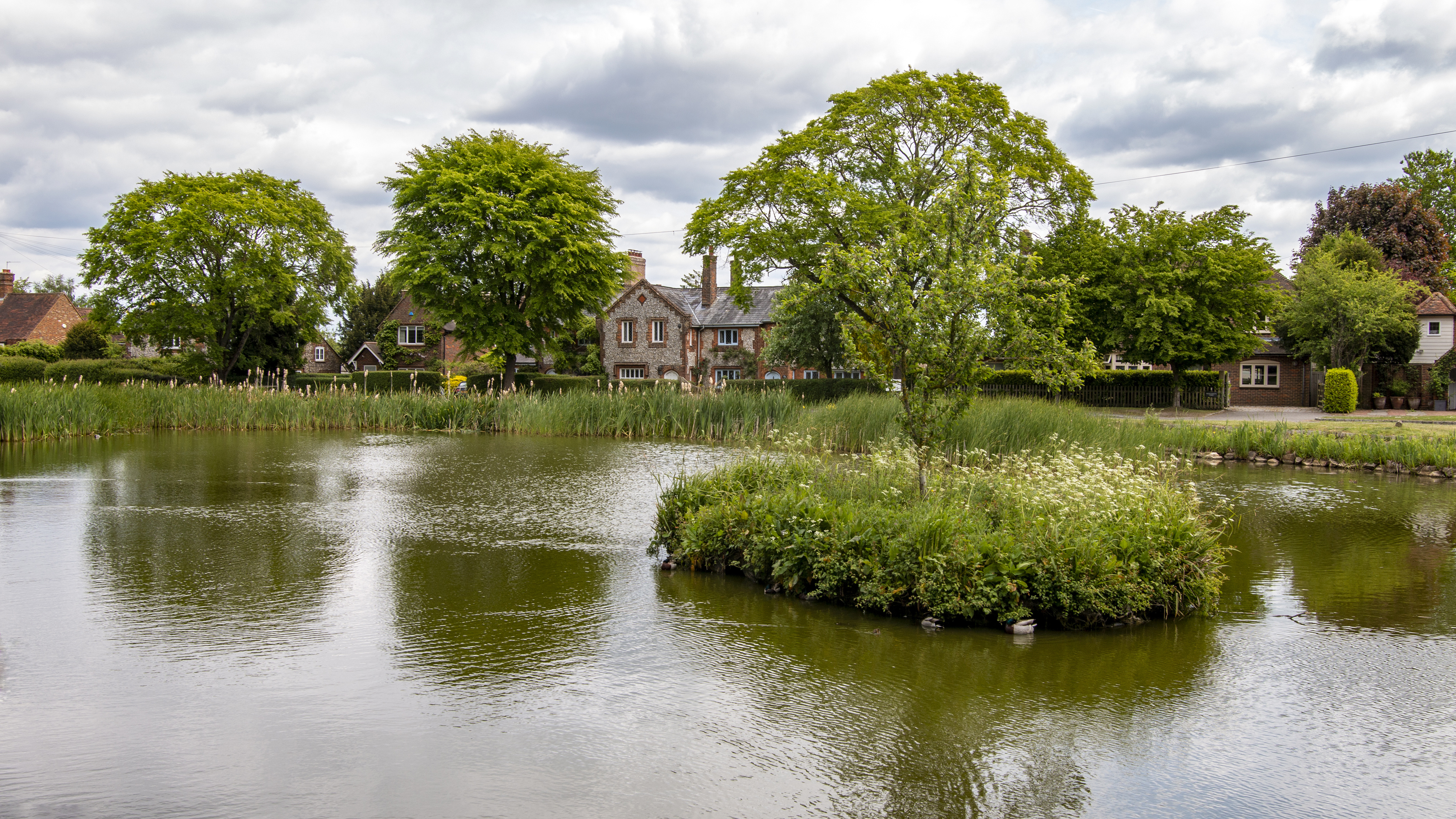 England green. Уайт Форест Англия. Болотистая деревня Англия. Форест Хиллс Нью-Йорк. Ферма с прудом.