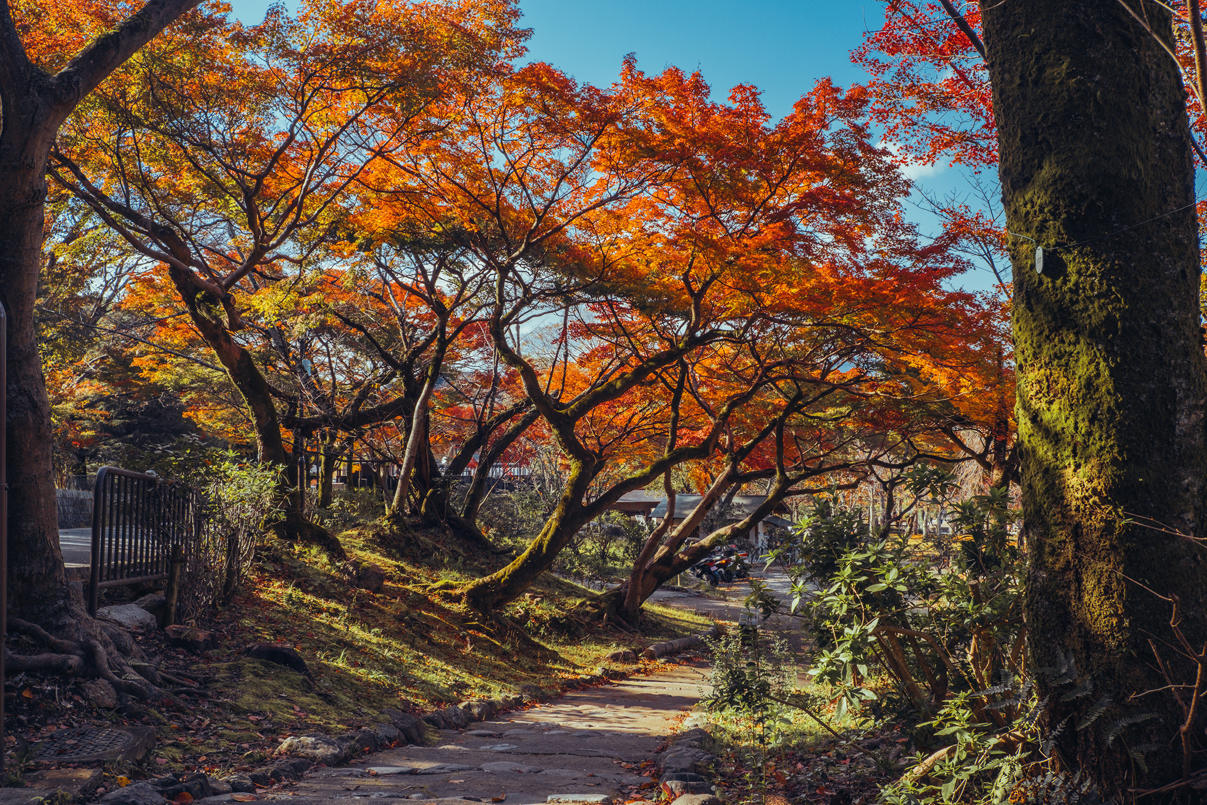 Парк Киото Япония