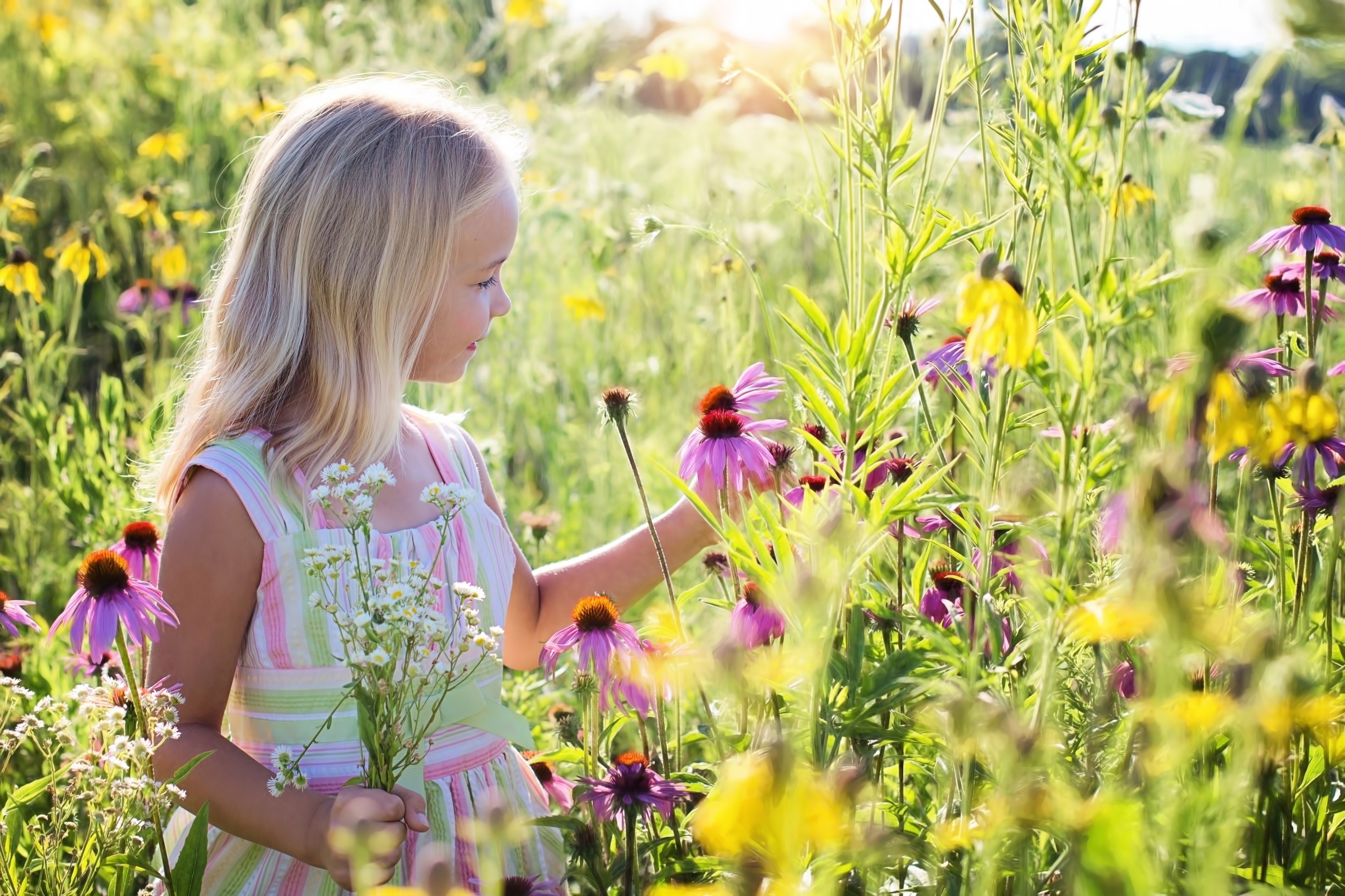 Дети наслаждаются жизнью. Девочка с цветами. Девочка на лугу. Дети и природа. Дети на лугу.