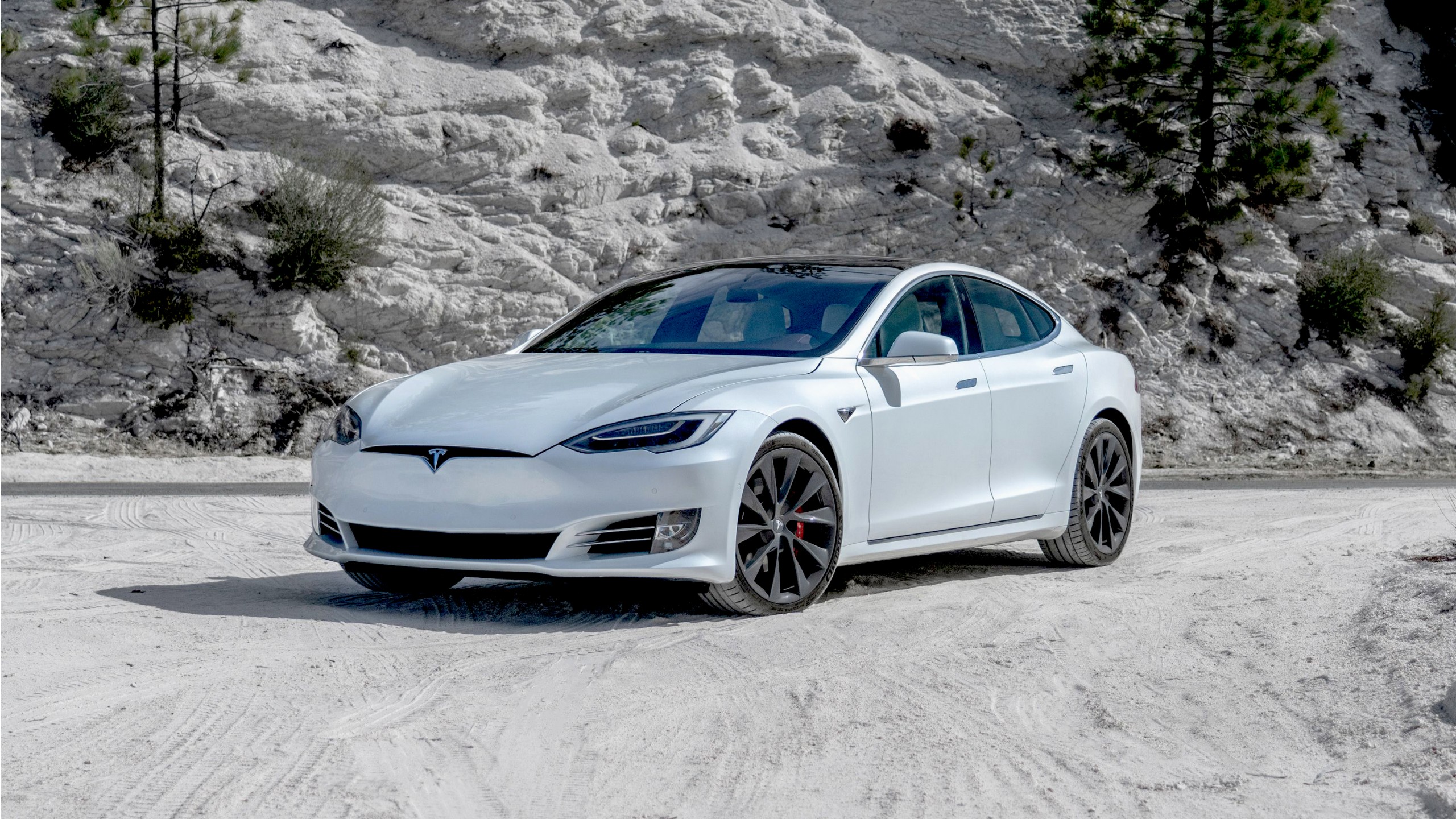 Tesla model s 2020