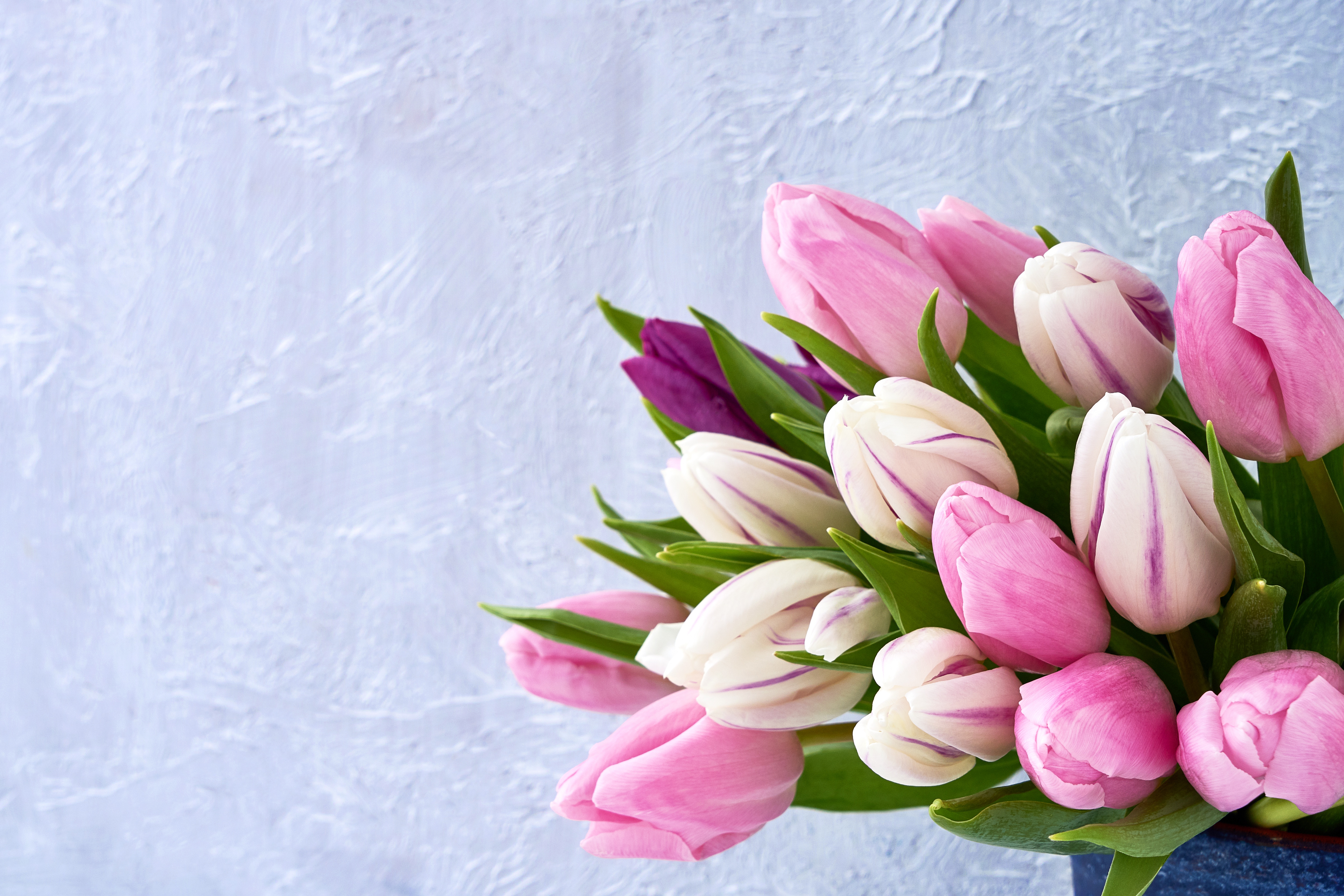 Открытки букеты тюльпанов красивые. Розовые тюльпаны. Нежные тюльпаны. Букет тюльпанов. Тюльпаны. Нежно-розовый.