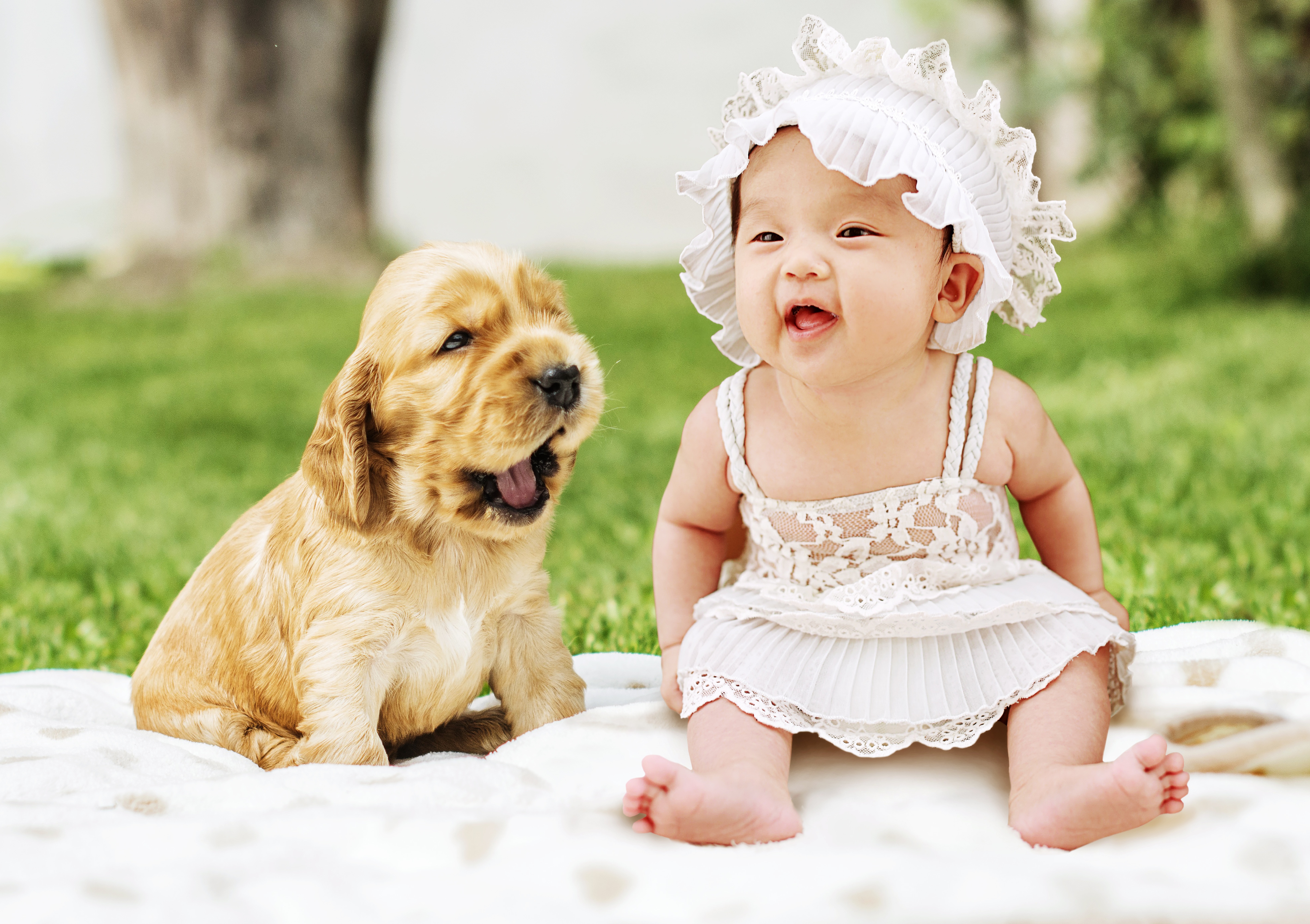 Baby pet. Собака для детей. Красивые собачки для детей. Красивые собаки для детей. Маленький ребенок и щенок.