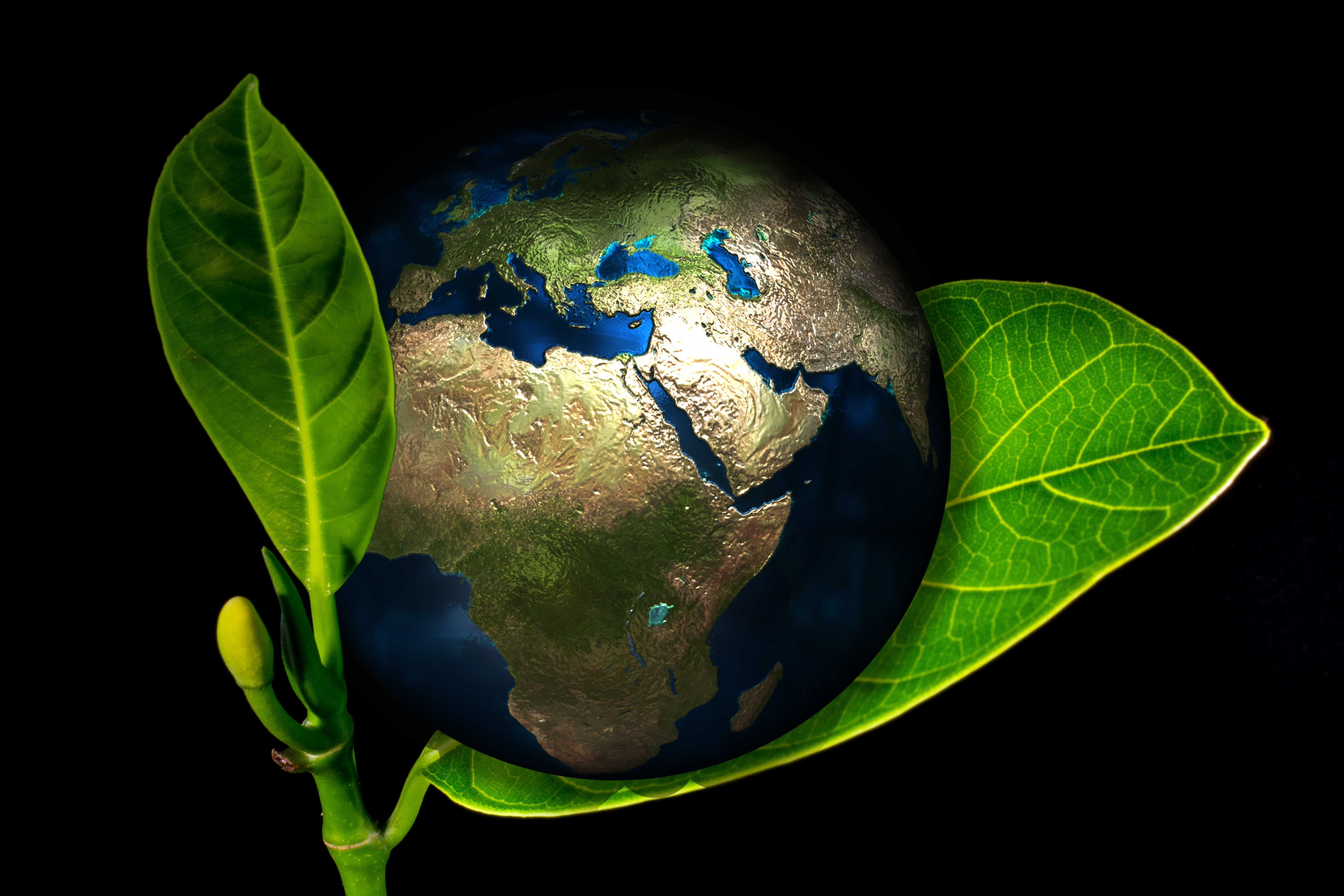 Планета земля сохранить. Экология. Экология земли. Планета земля экология. Экология нашей планеты.