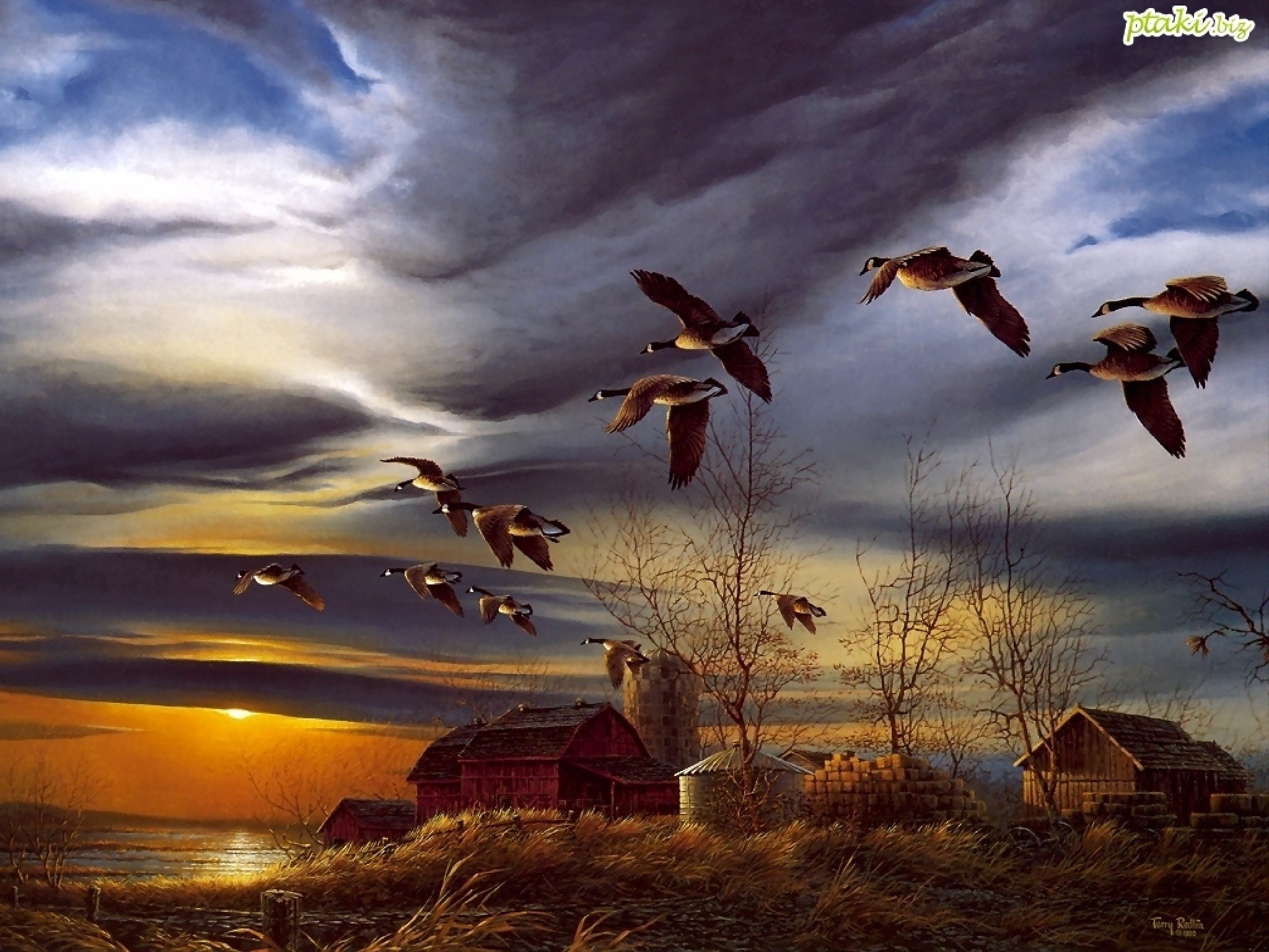 Птицы улетают осенью песня. Терри Редлин озеро. Терри Редлин осень. Терри Редлин закат озеро. Терри Редлин картины.