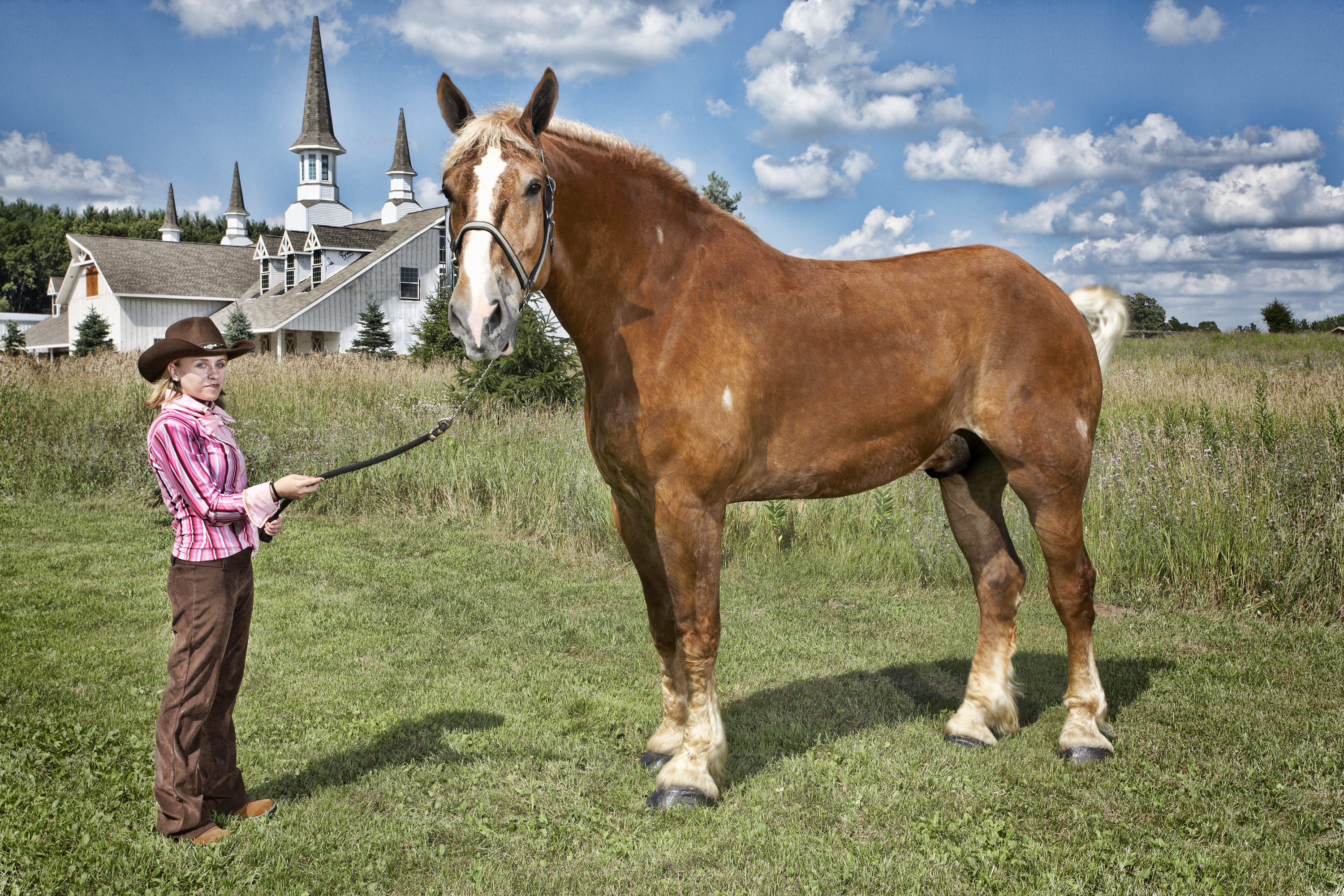 Сколько лошадей в мире. Шайр лошадь. Бельгийский мерин Биг Джейк. Бруклин Сьюприм лошадь. Самая большая лошадь.