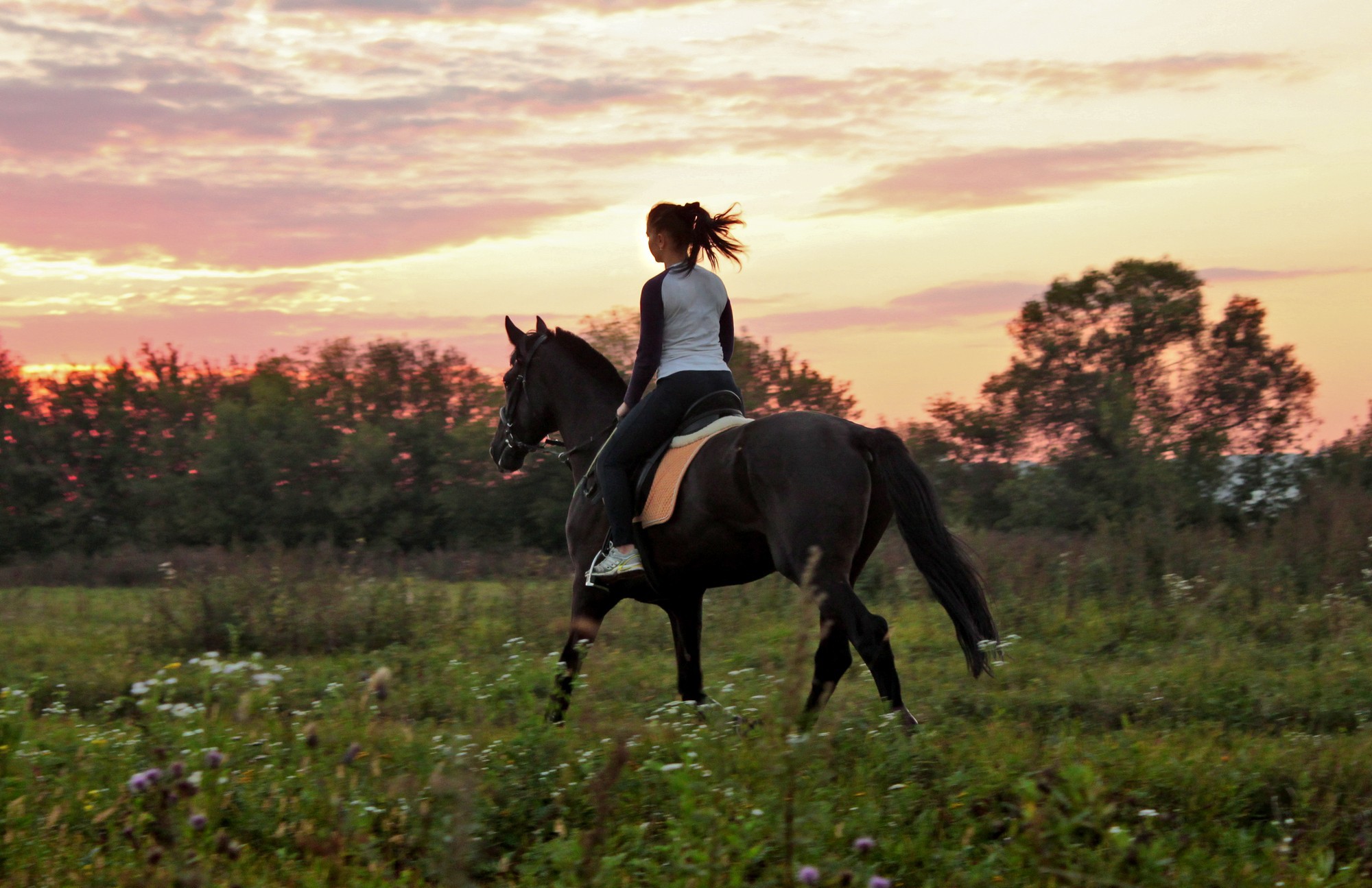 Проскачу на коне. Хорс райдинг. Девушка на коне. Девочка верхом на лошади. Девушка на коне верхом.