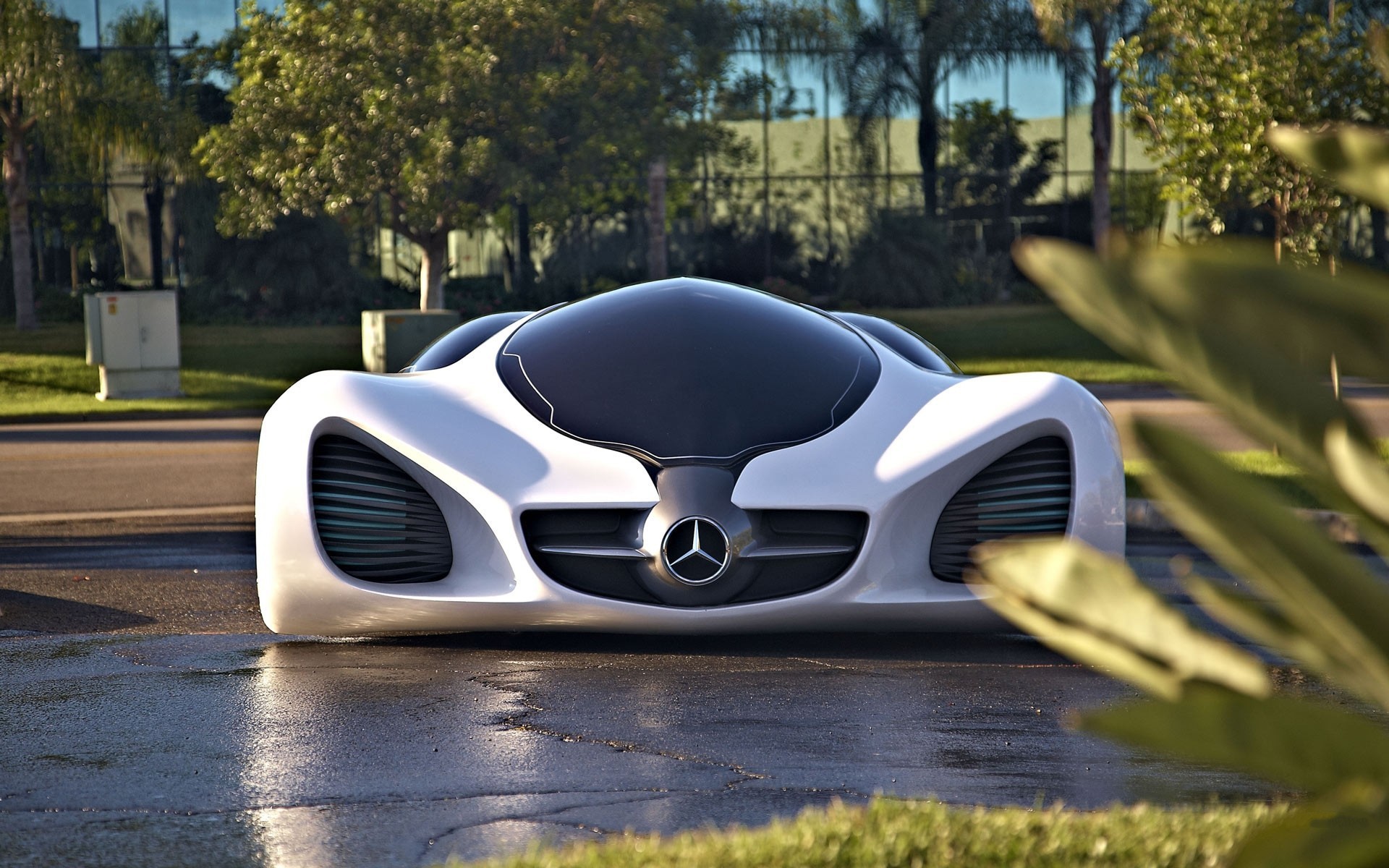 Машина Mercedes Benz Biome