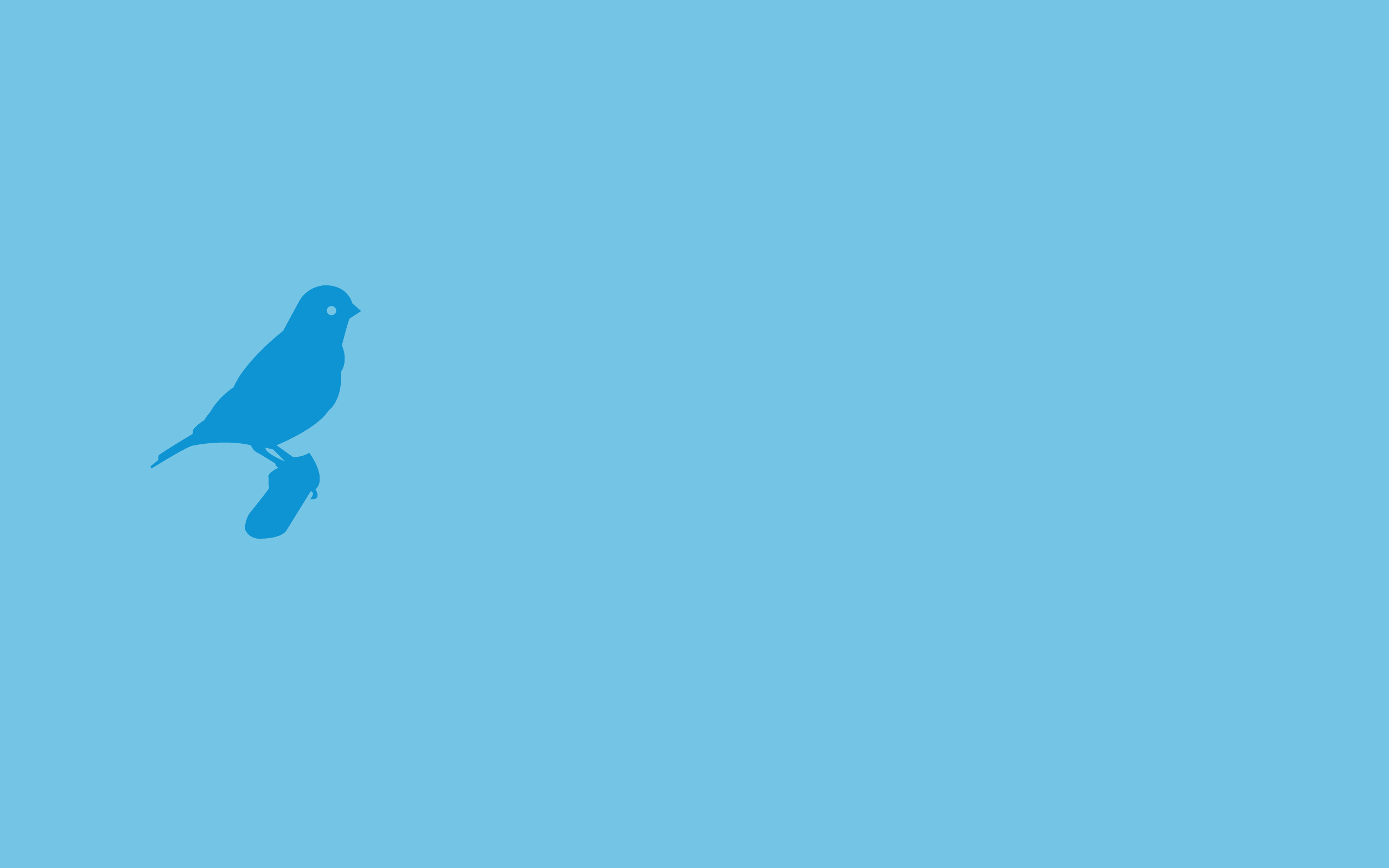 Синий минимализм. Птица Минимализм. Птицы на голубом фоне. Голубой Минимализм. Птица на однотонном фоне.