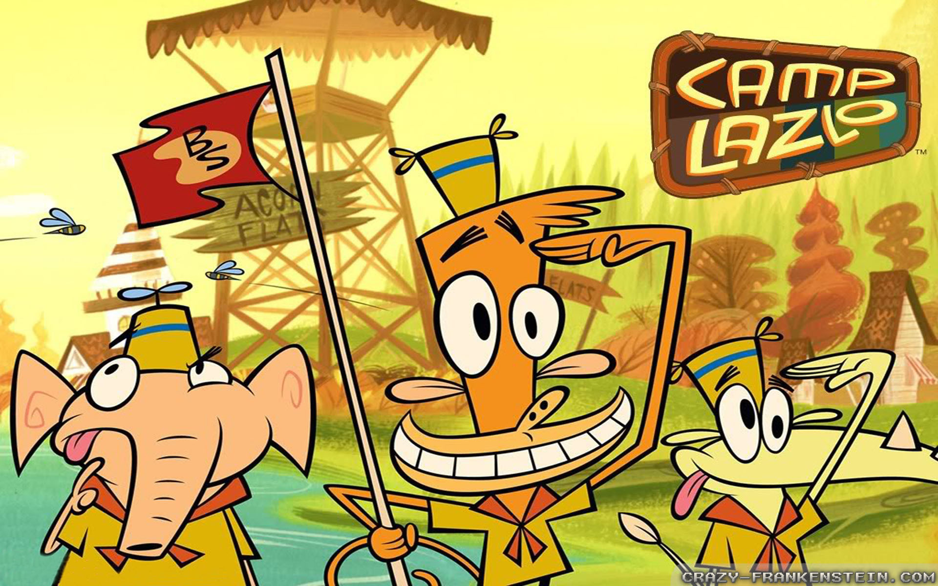 Лагерь лазлу. Картун нетворк лагерь. Cartoon Network Camp Lazlo. Мультсериалы Картун нетворк.