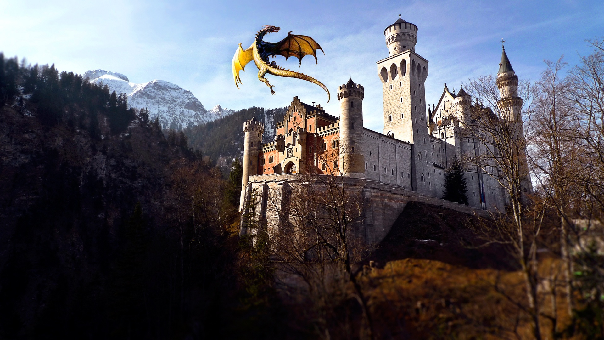 замок дракона фото
