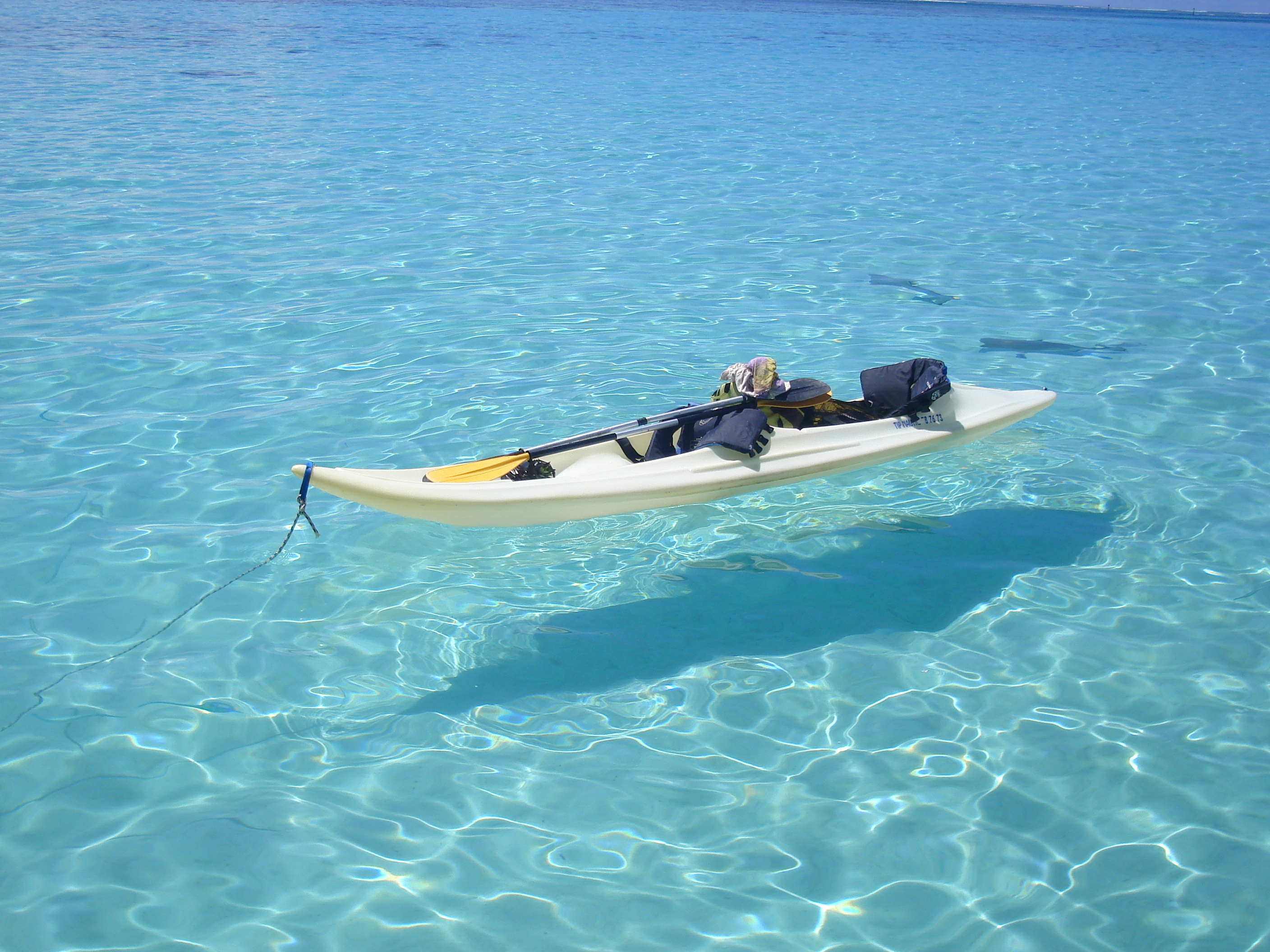 Сон прозрачная вода в море