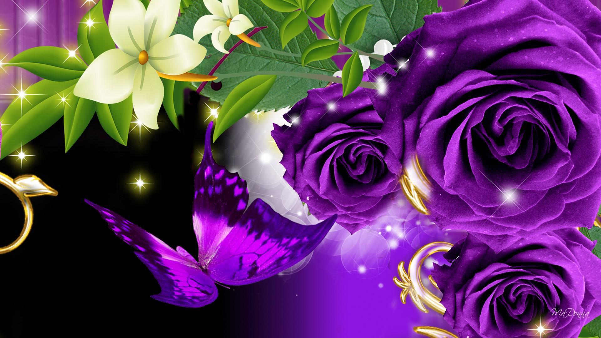 Обои Фиолетовые розы и бабочка на чёрном фоне.
