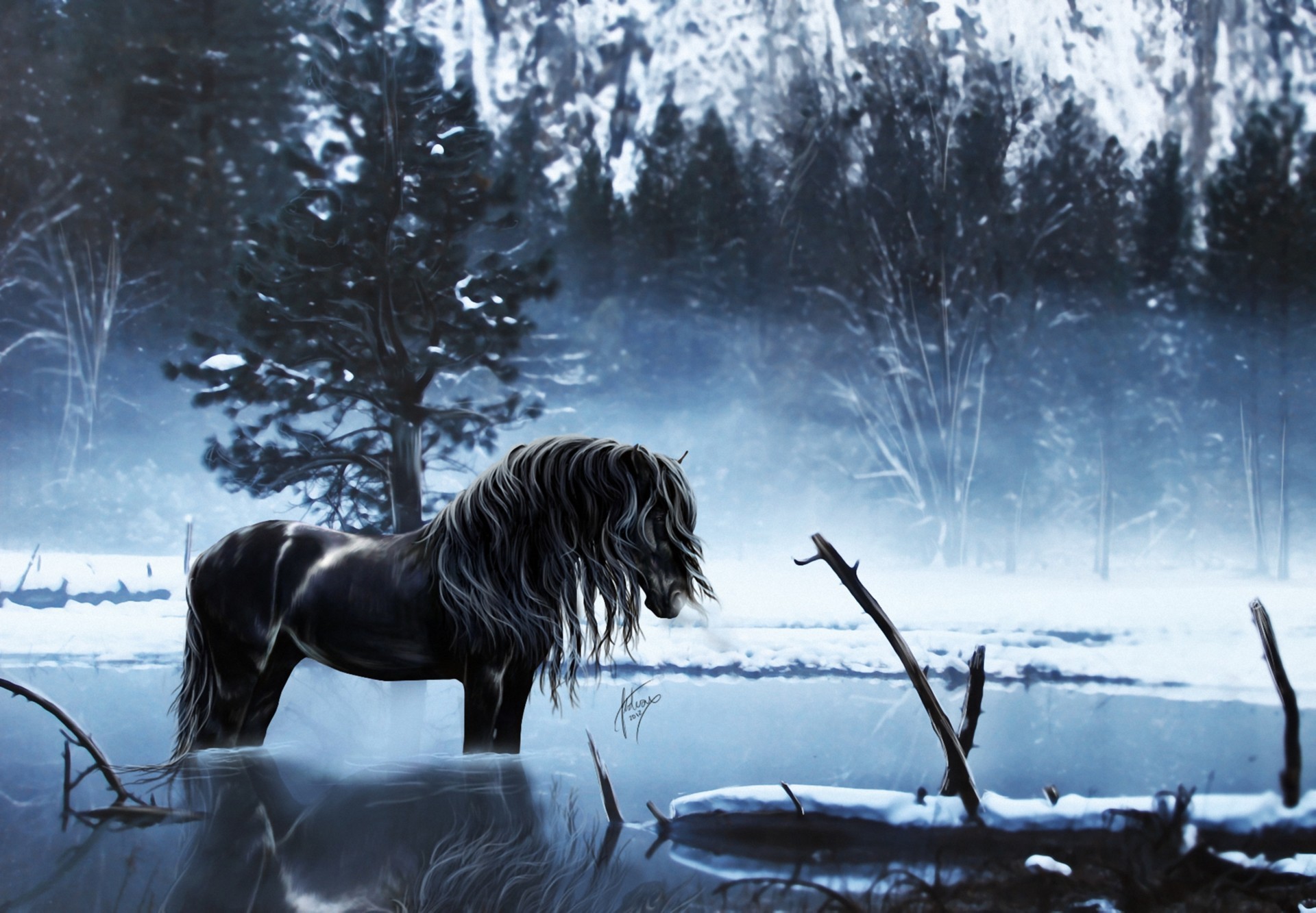 Хорс лейк. Обои на рабочий стол лошади. Лошадь зима. Лошади зимой. Лошадь в зимнем лесу.