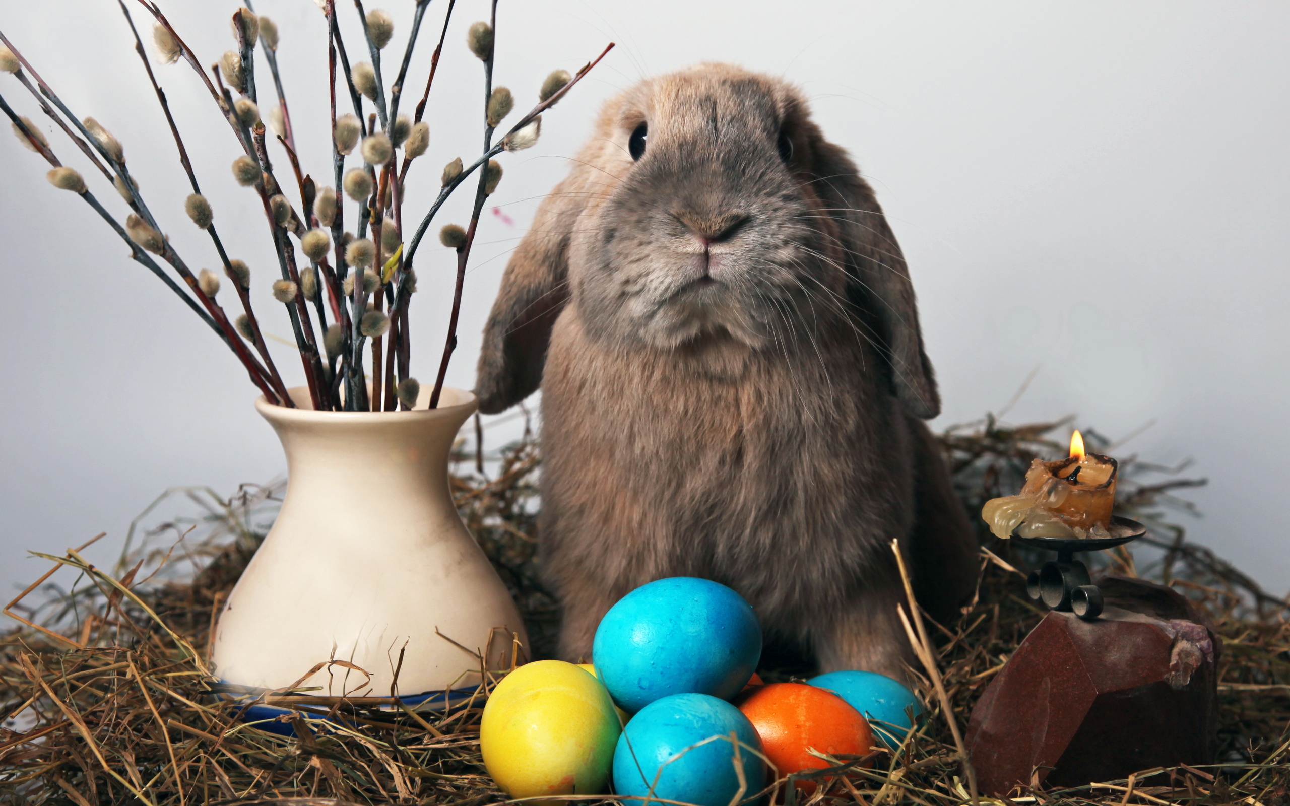 Почему кролик символ пасхи. Пасхальный кролик Христос Воскресе. Пасхальный заяц. Пасха кролик. Пасхальный кролик с яйцами.
