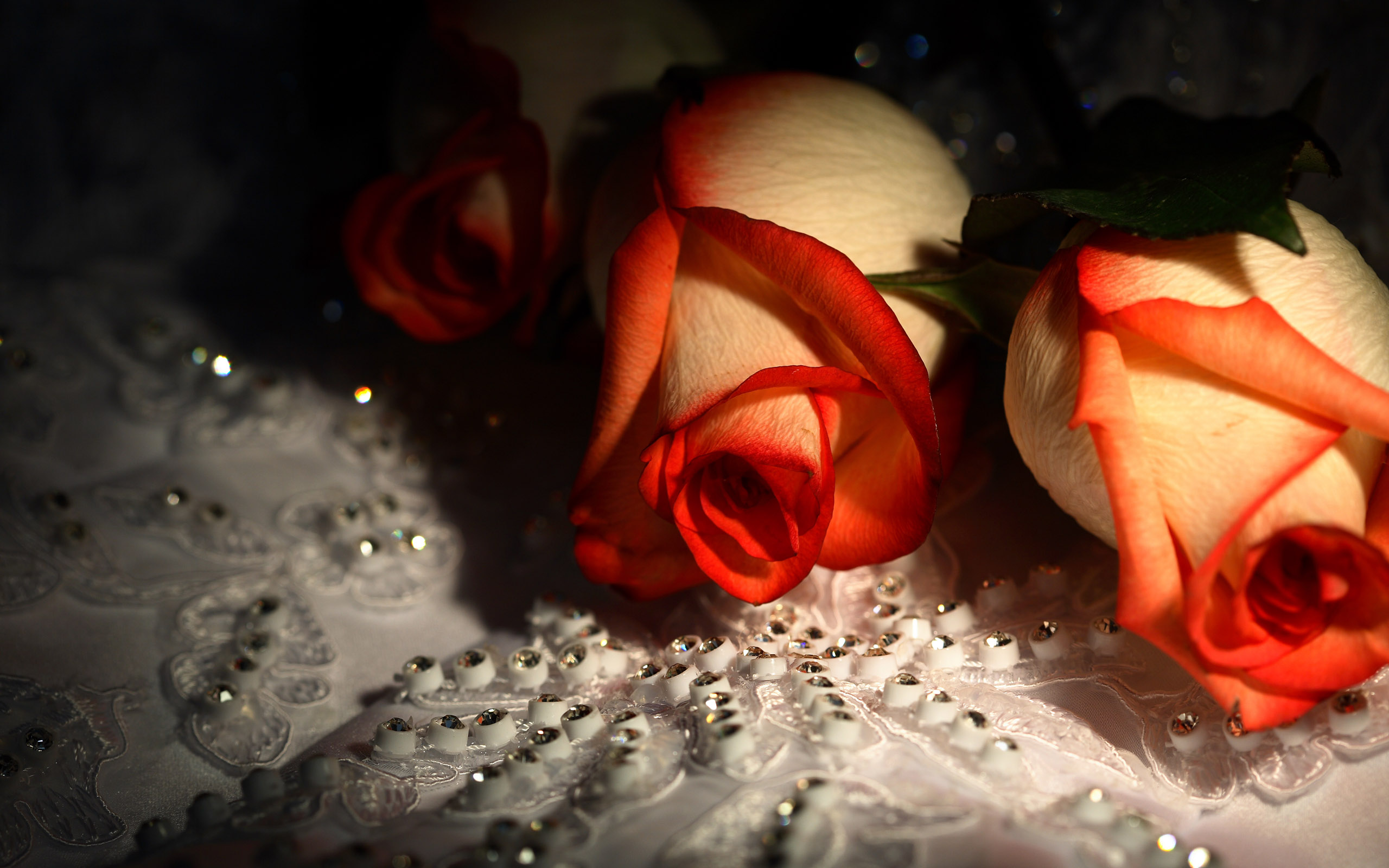 Красивые картинки в одноклассники. Красивые розы. Розы картинки красивые. Красивые цветы на рабочий стол. Картинки на рабочий стол розы.
